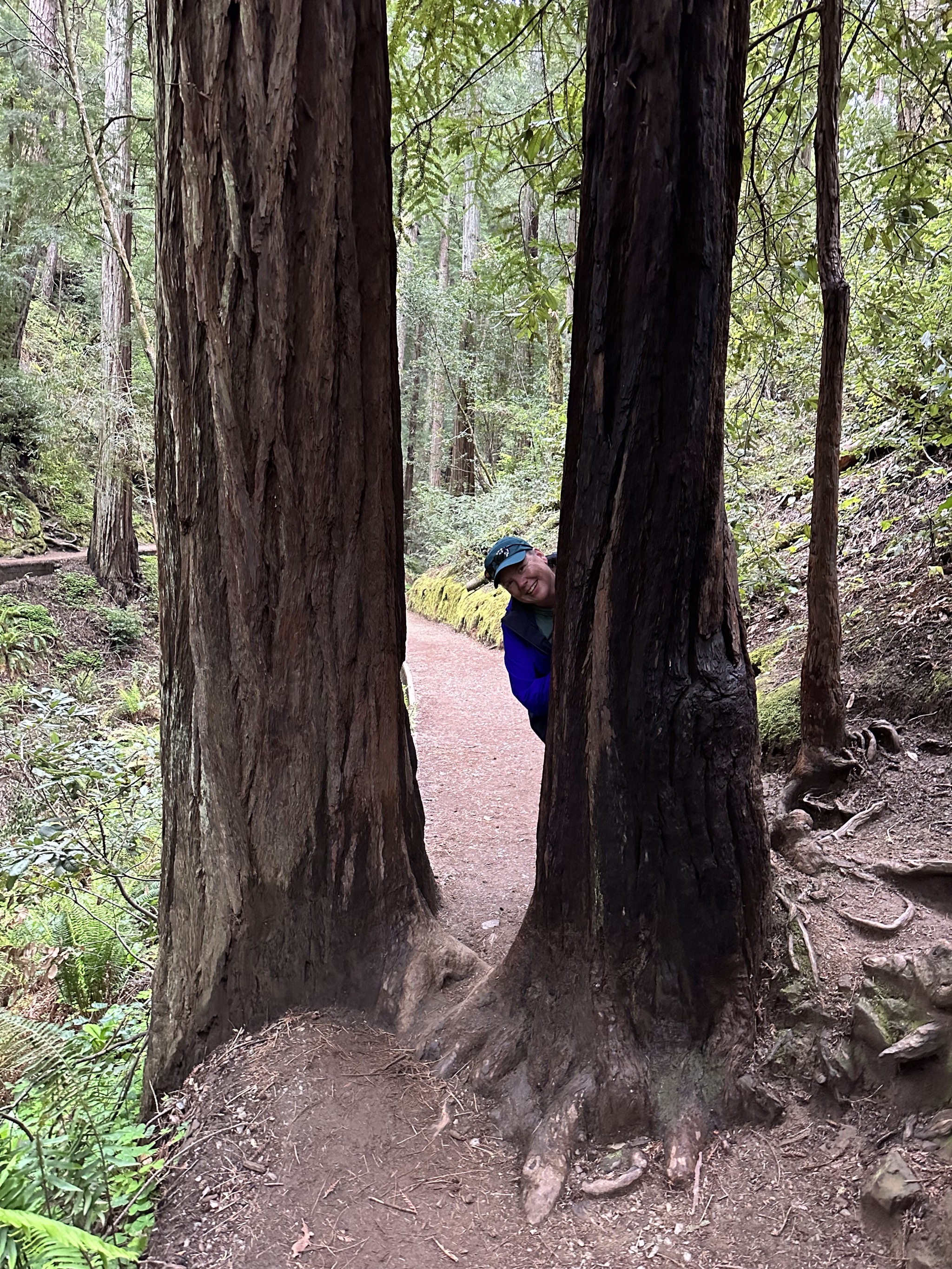 Muir Woods