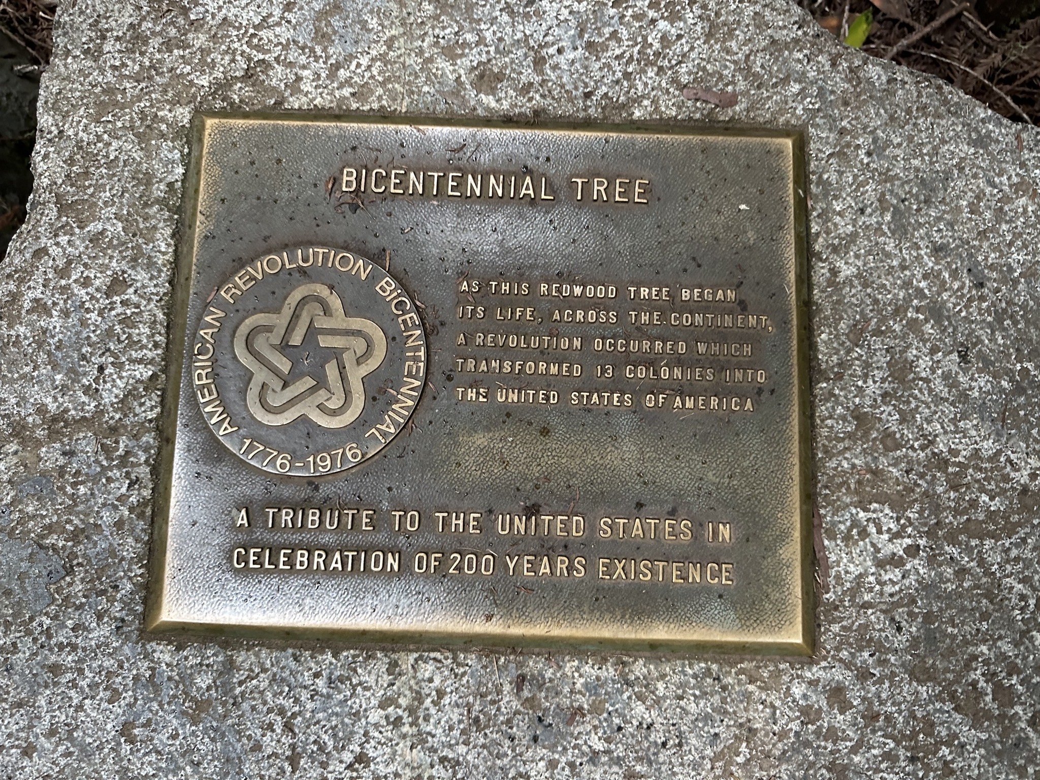 Muir Woods