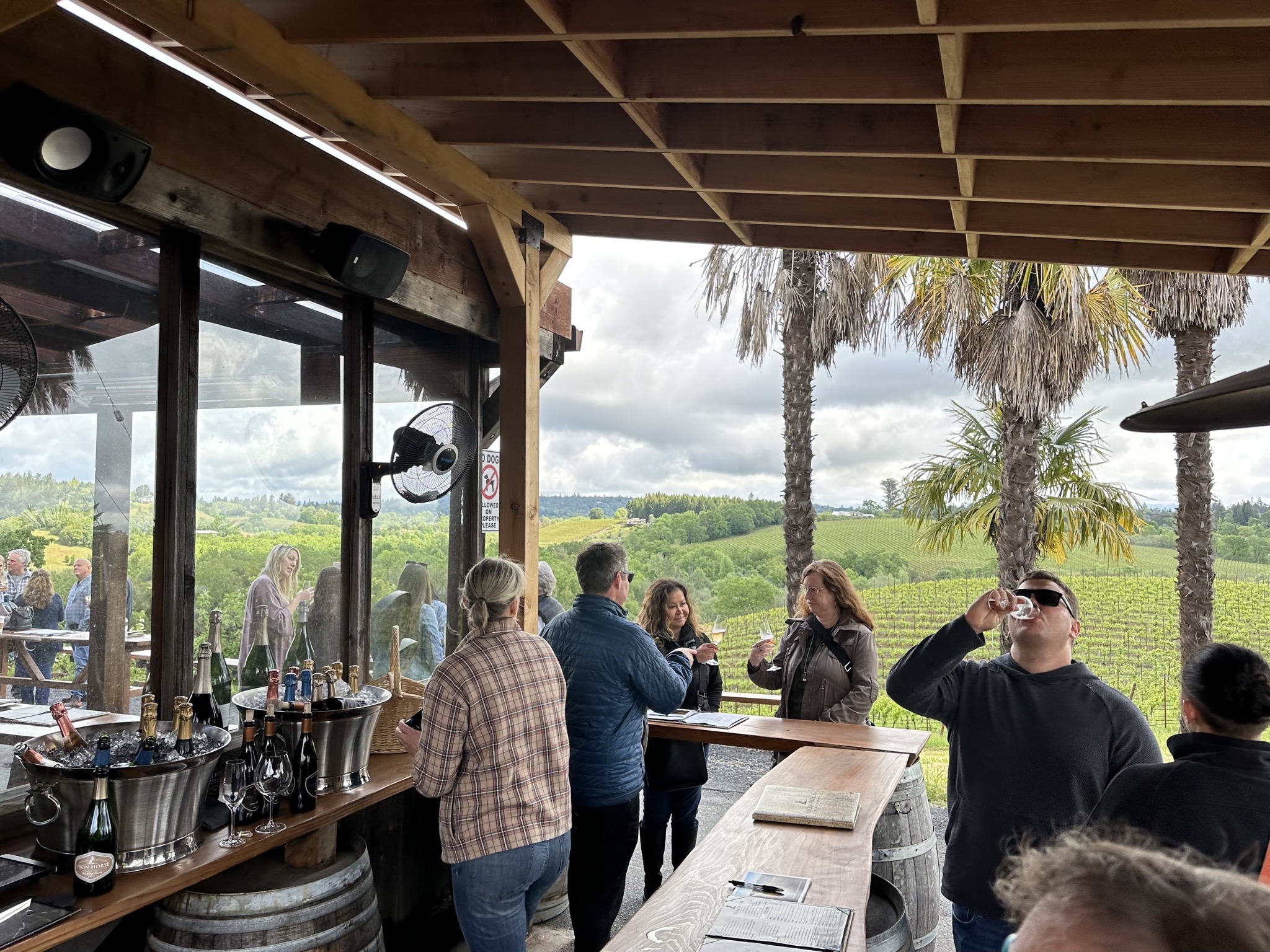 Iron Horse Vineyards