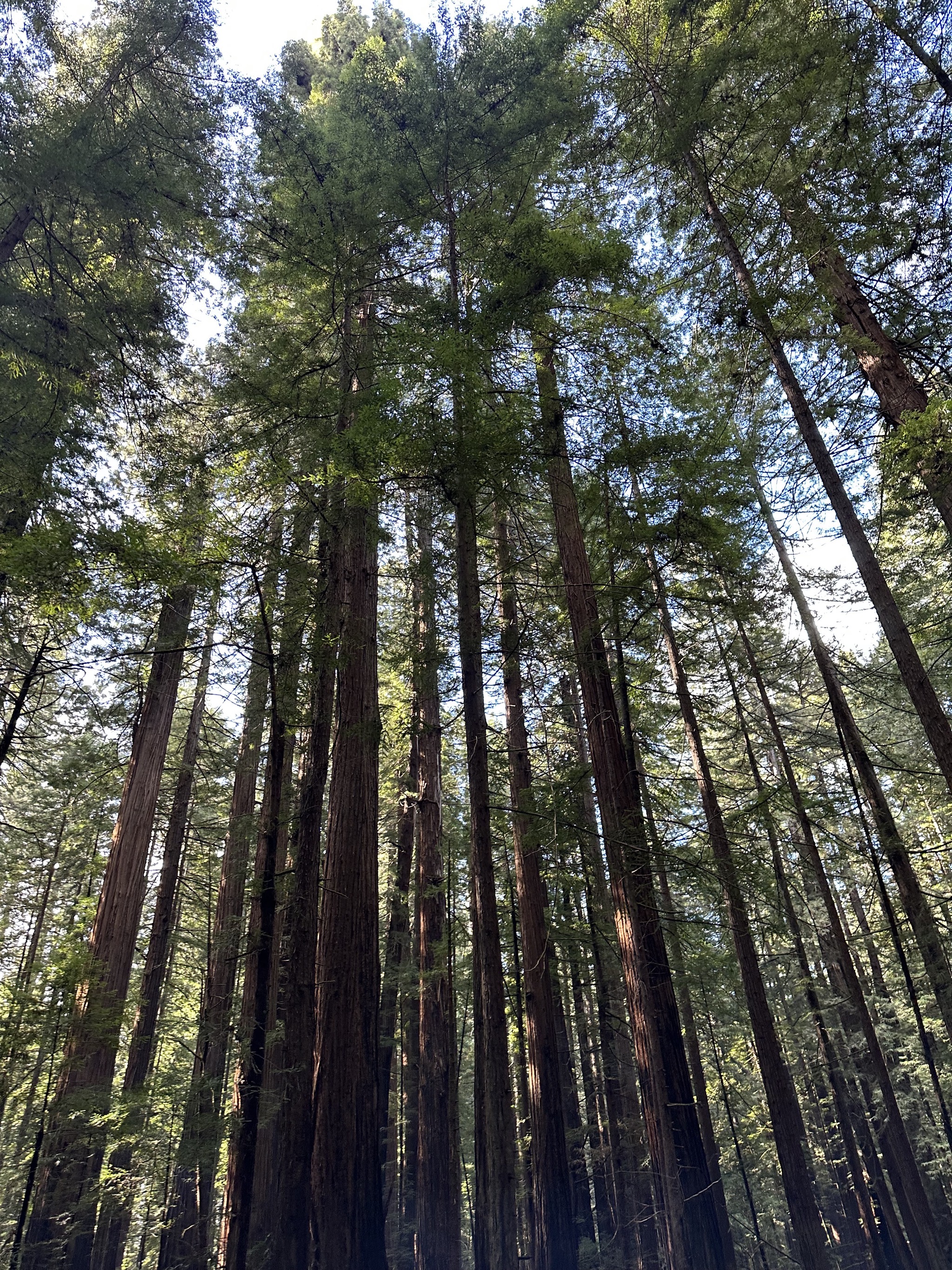 Gould Grove Nature Loop Trail