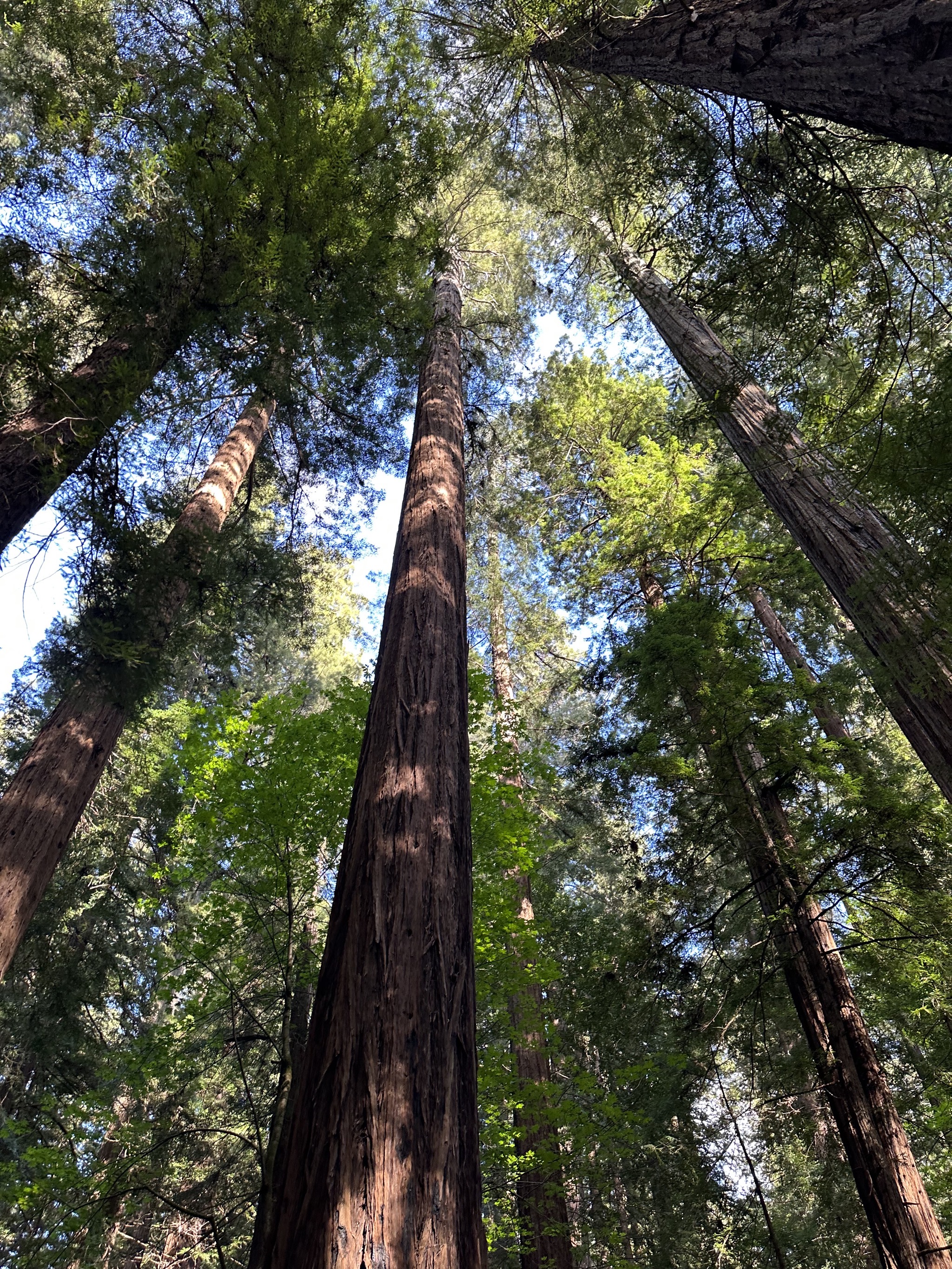 Gould Grove Nature Loop Trail