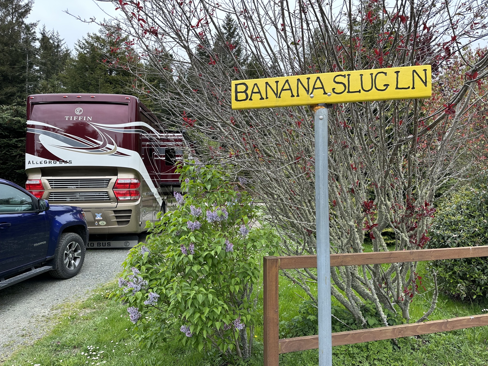 Banana Slug Lane
