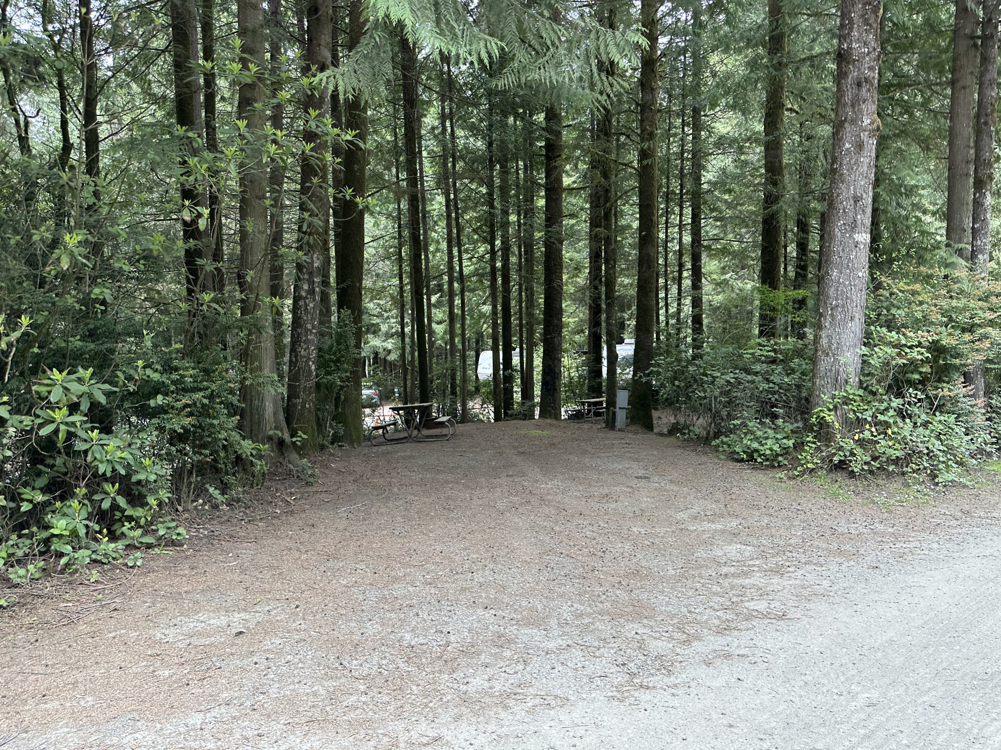 Other empty sites