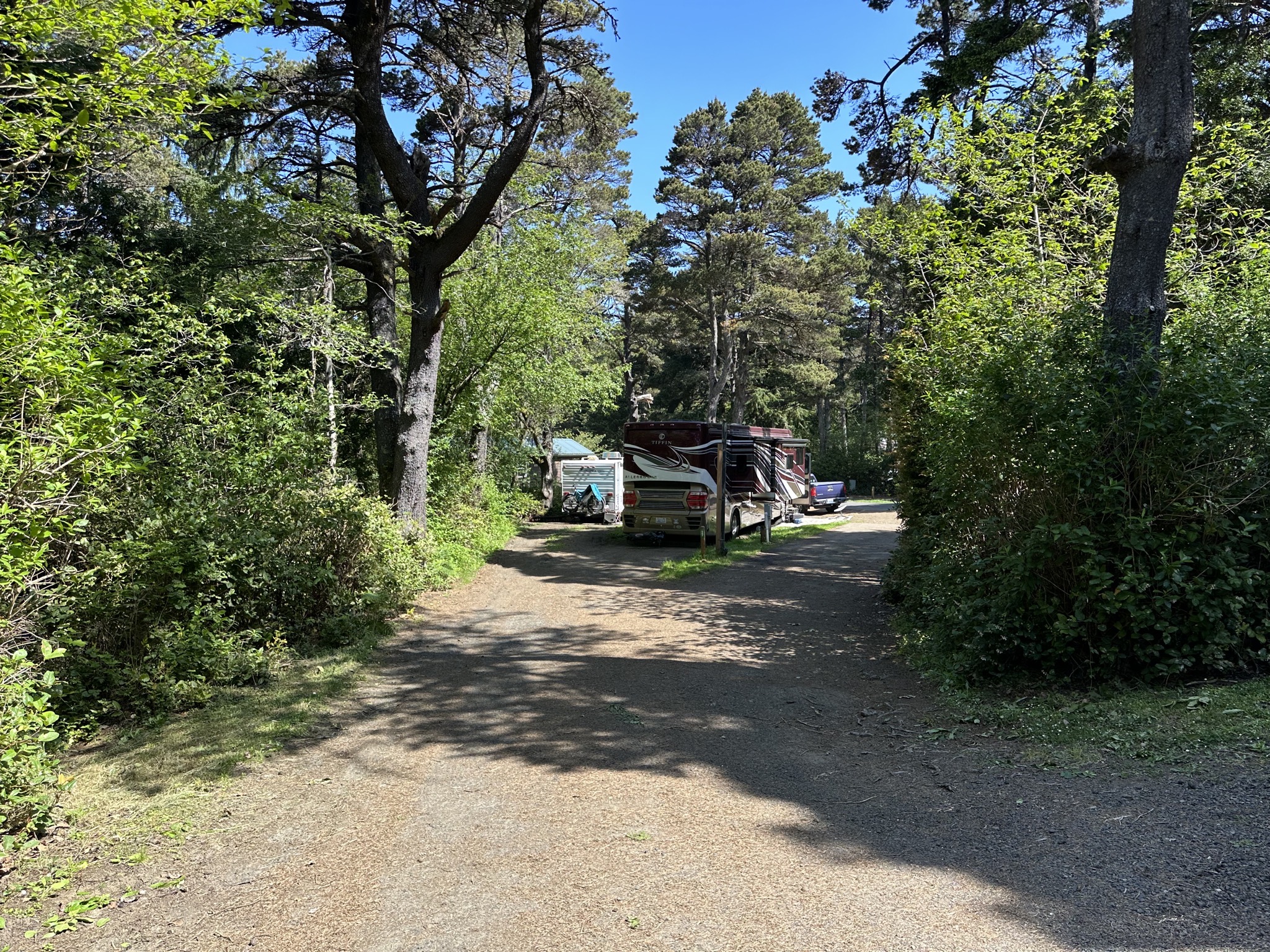 Our site