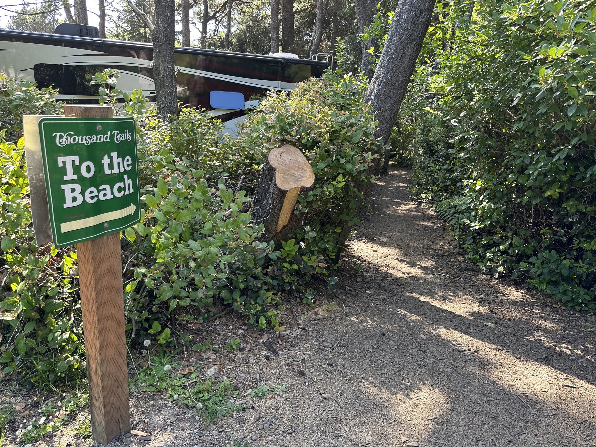 Path to the beach