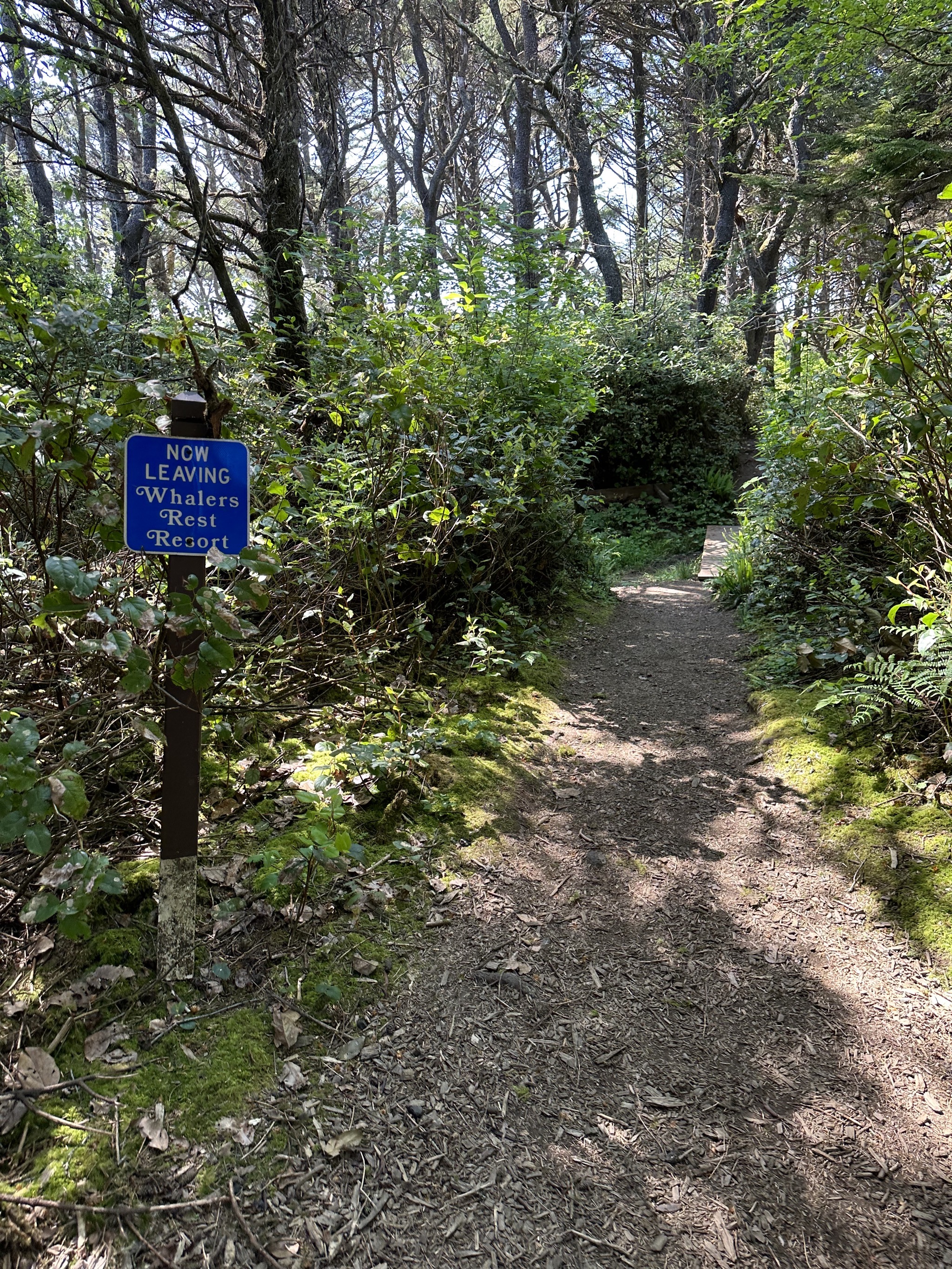 Path to the beach