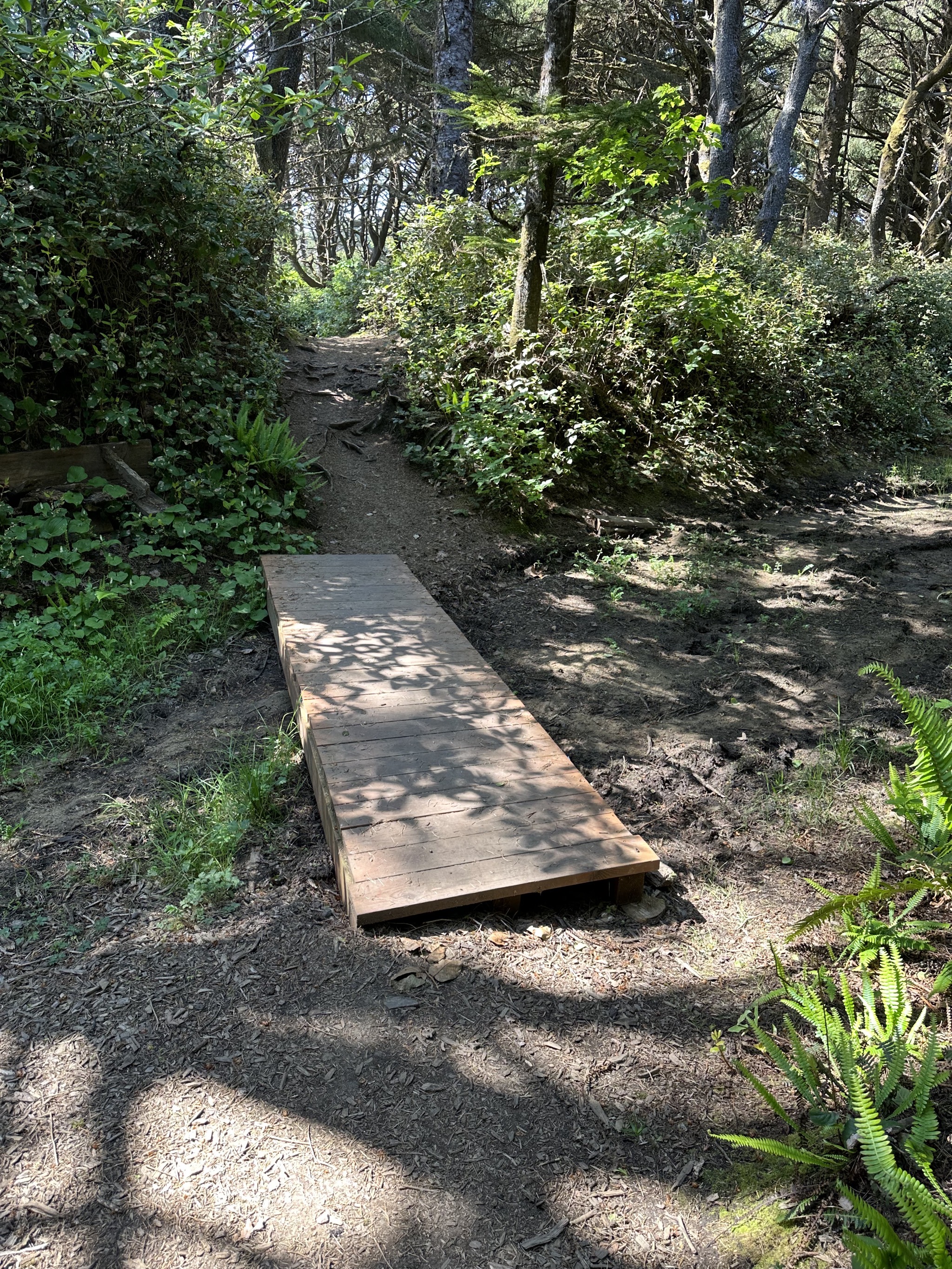 Path to the beach
