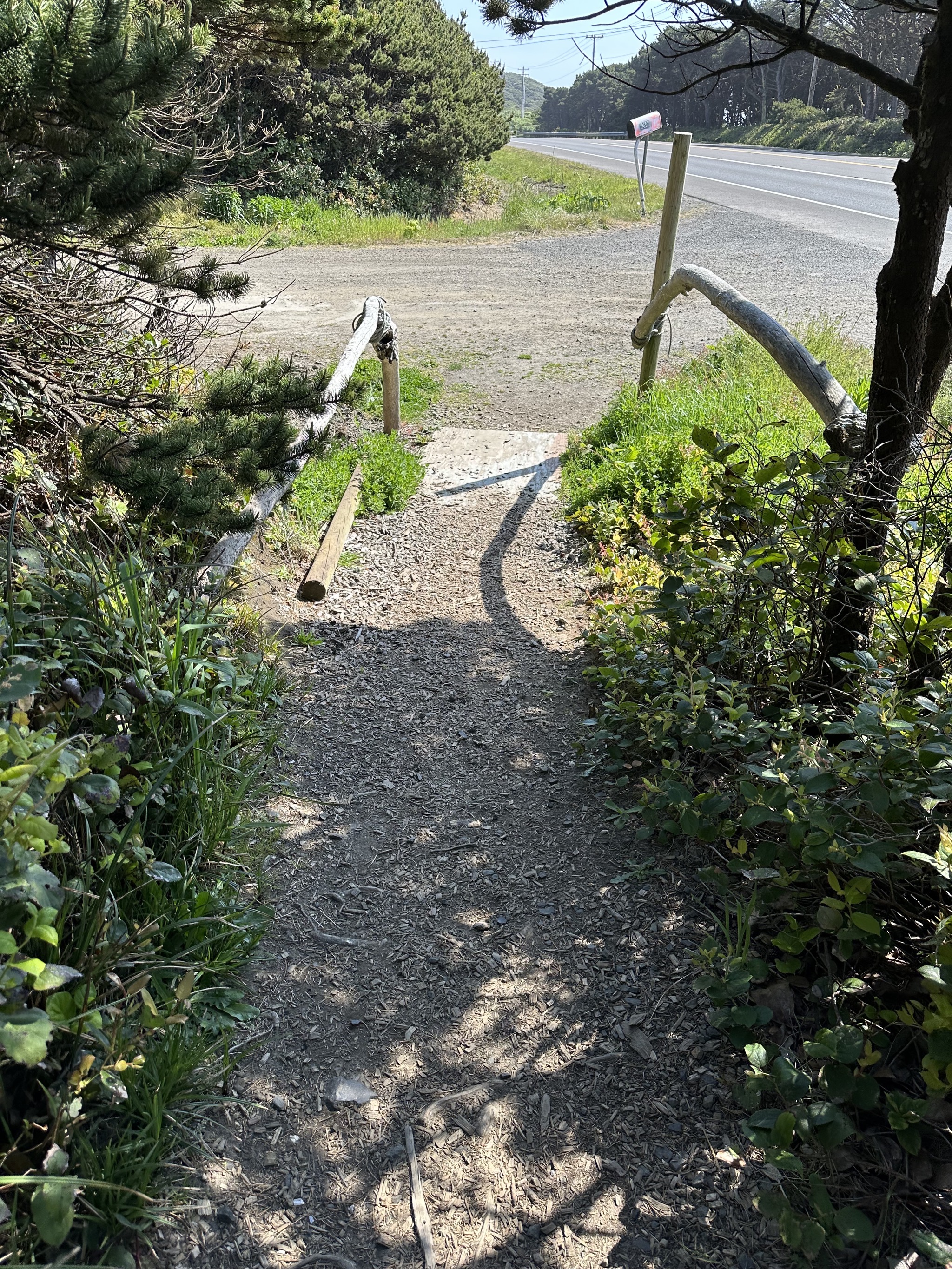 Path to the beach