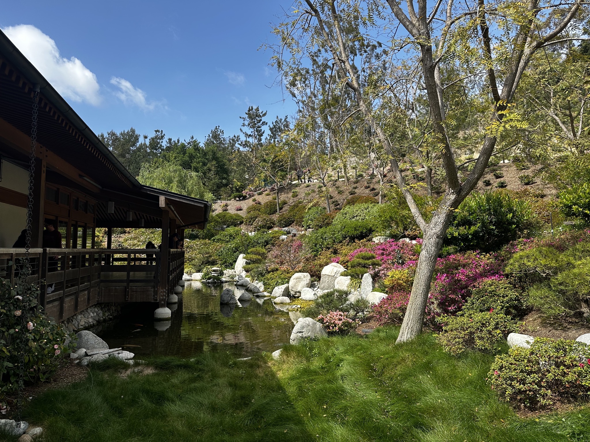 Japanese Friendship Garden