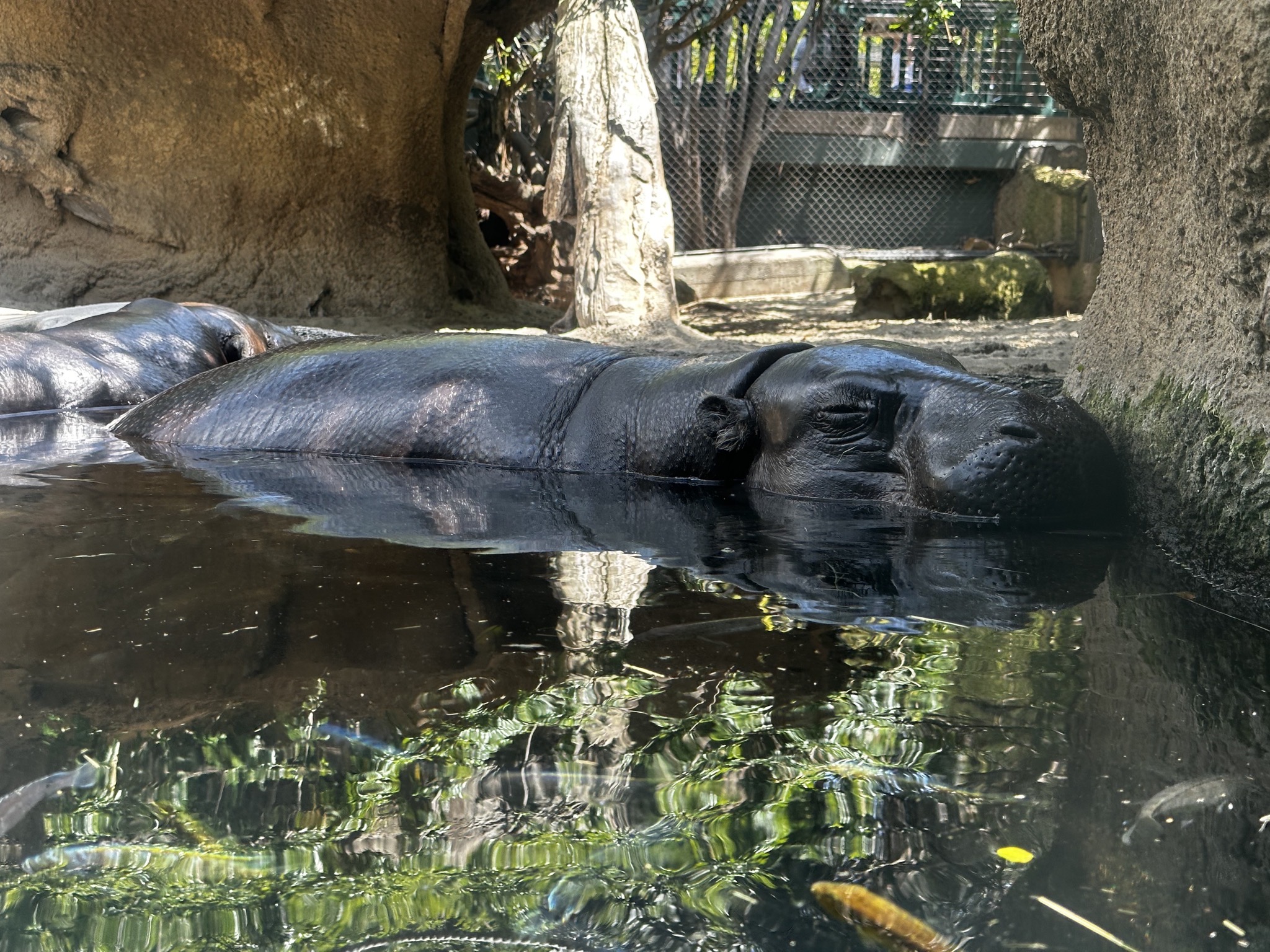 San Diego Zoo