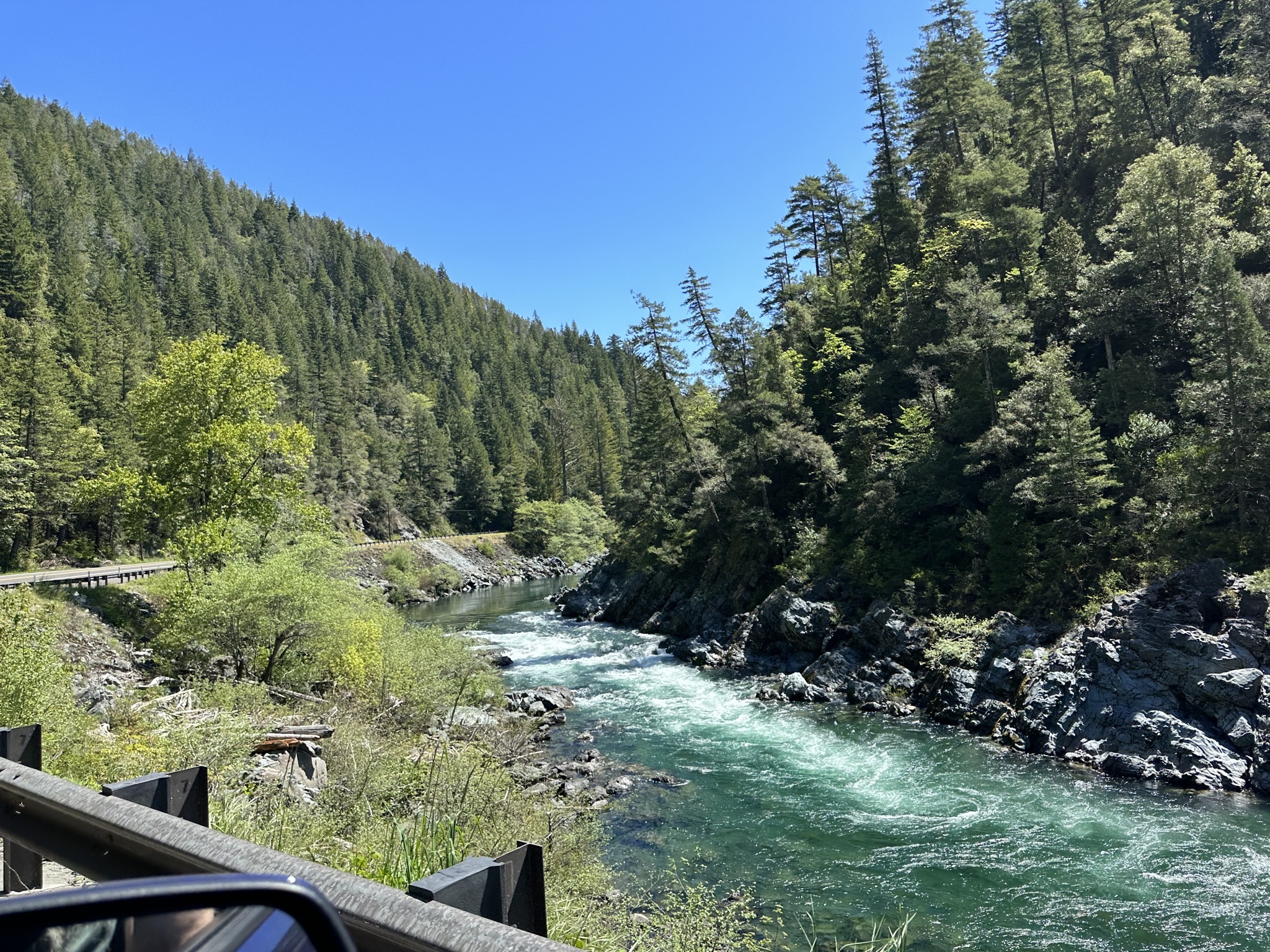 Jedediah Smith Redwoods State Park