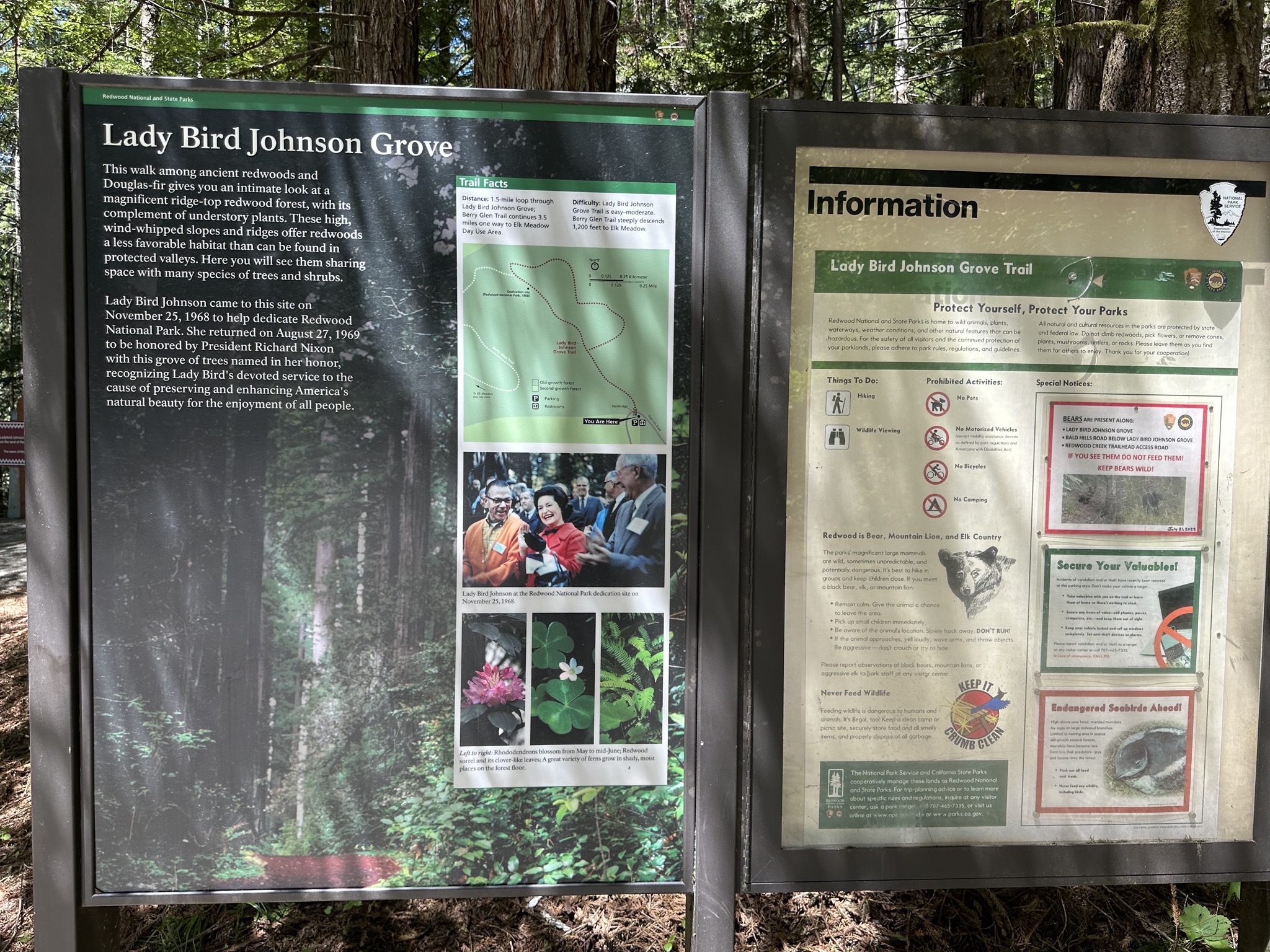 Lady Bird Johnson Grove