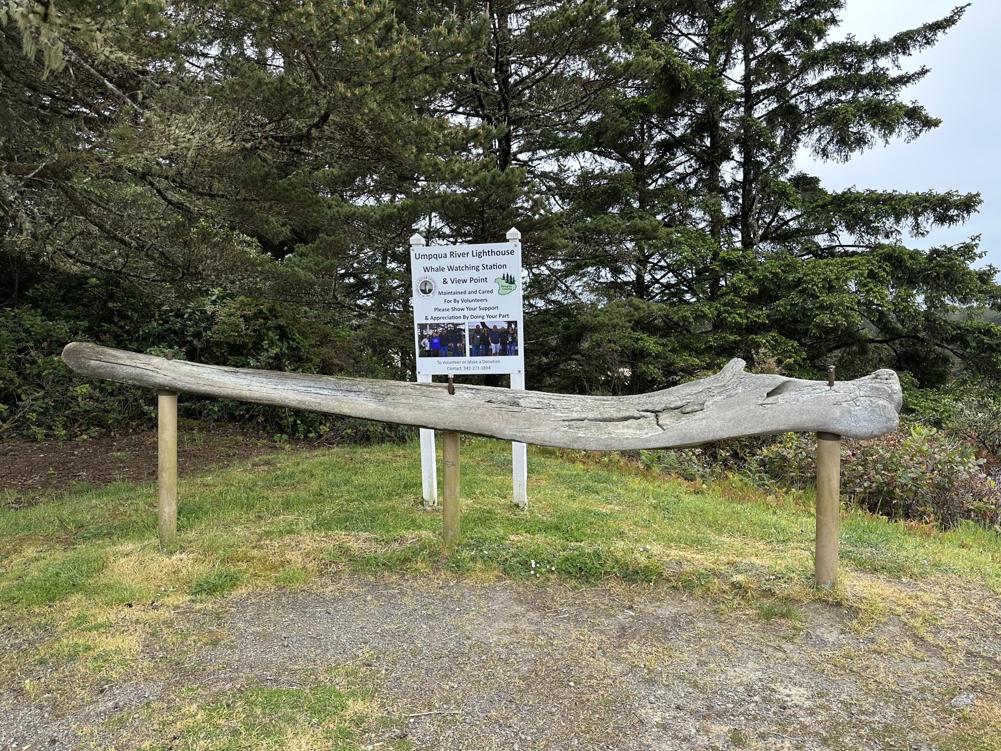 Umpqua lighthouse