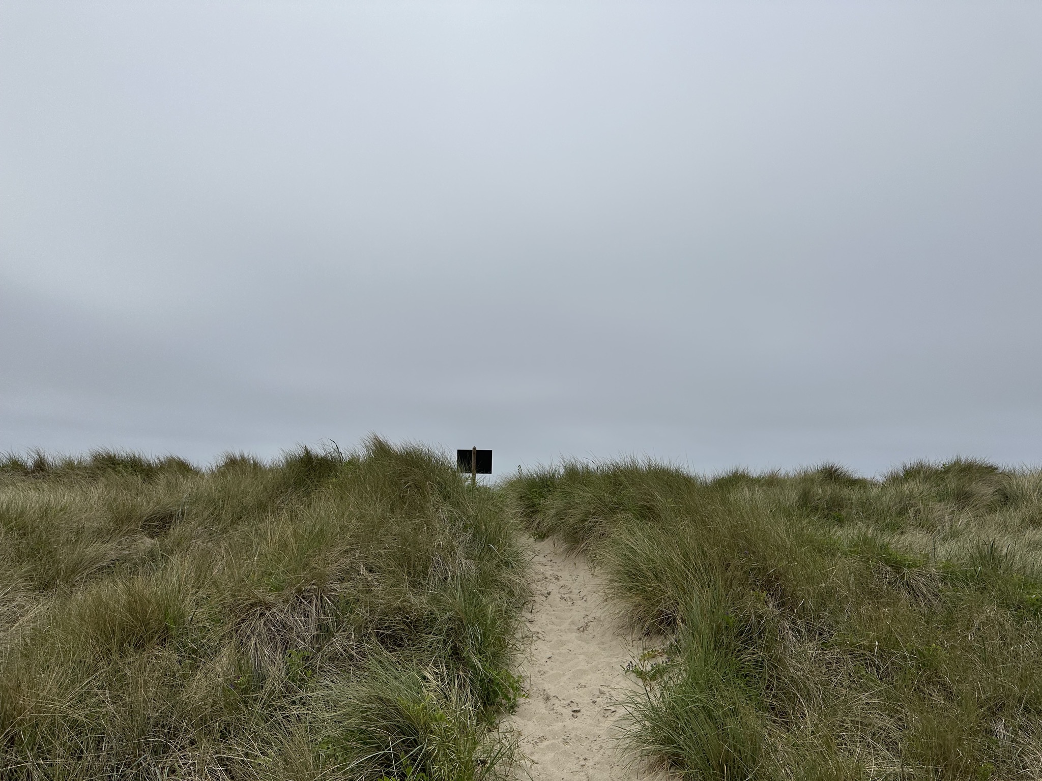 Umpqua Beach