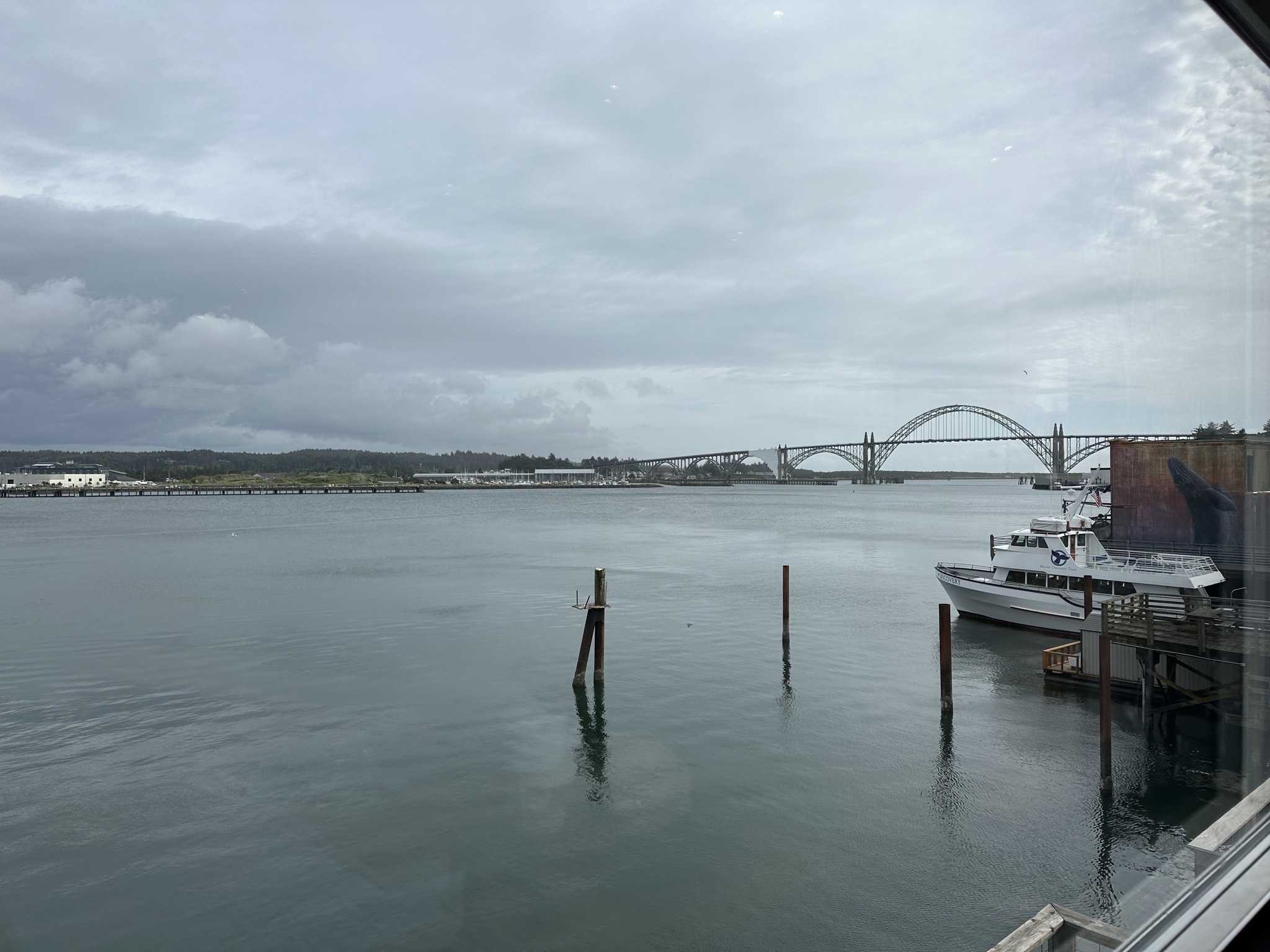 Bridge view
