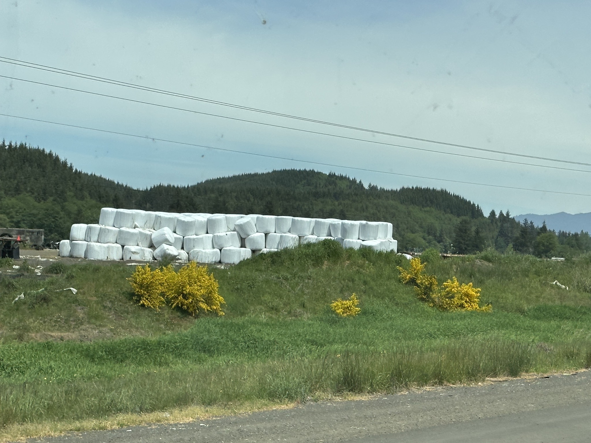 Hay bales