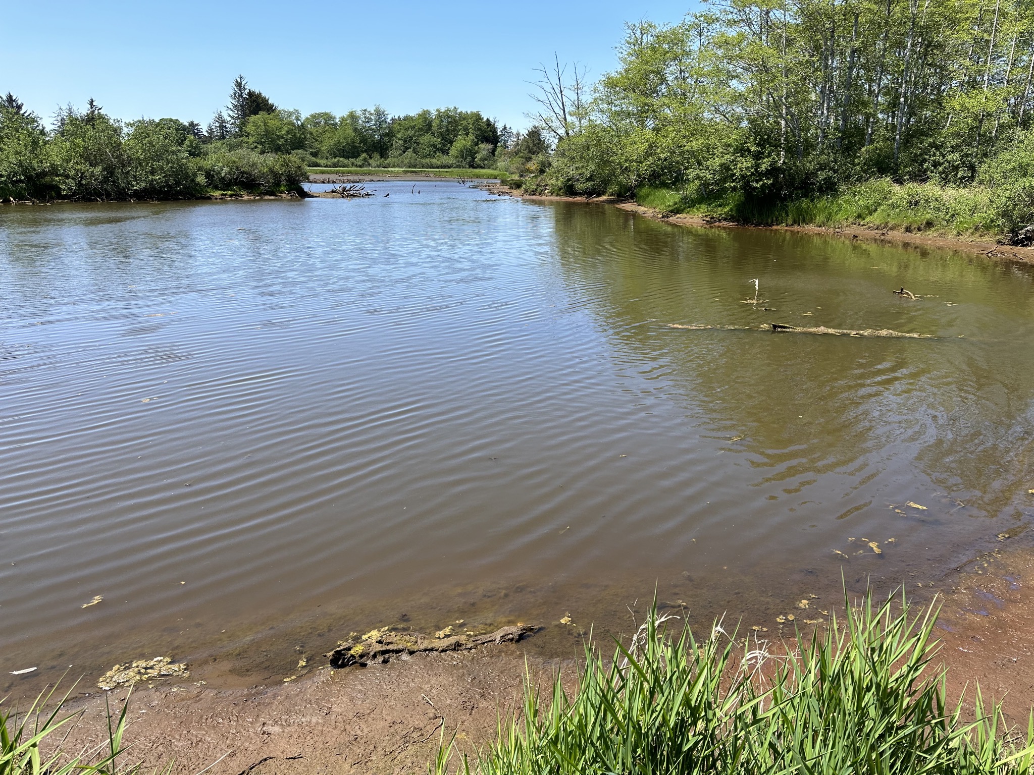 Pet exercise area