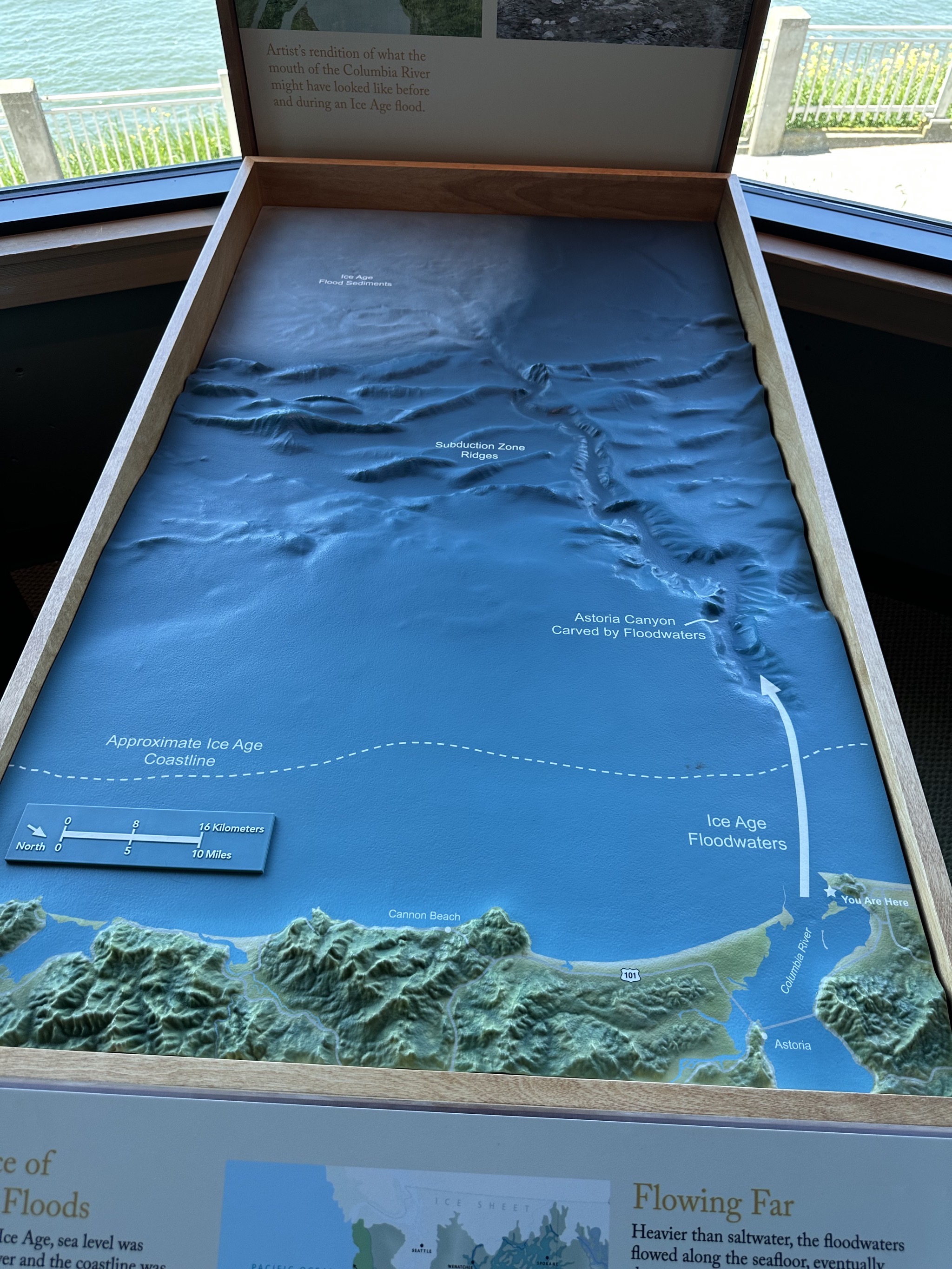 Cape Disappointment
