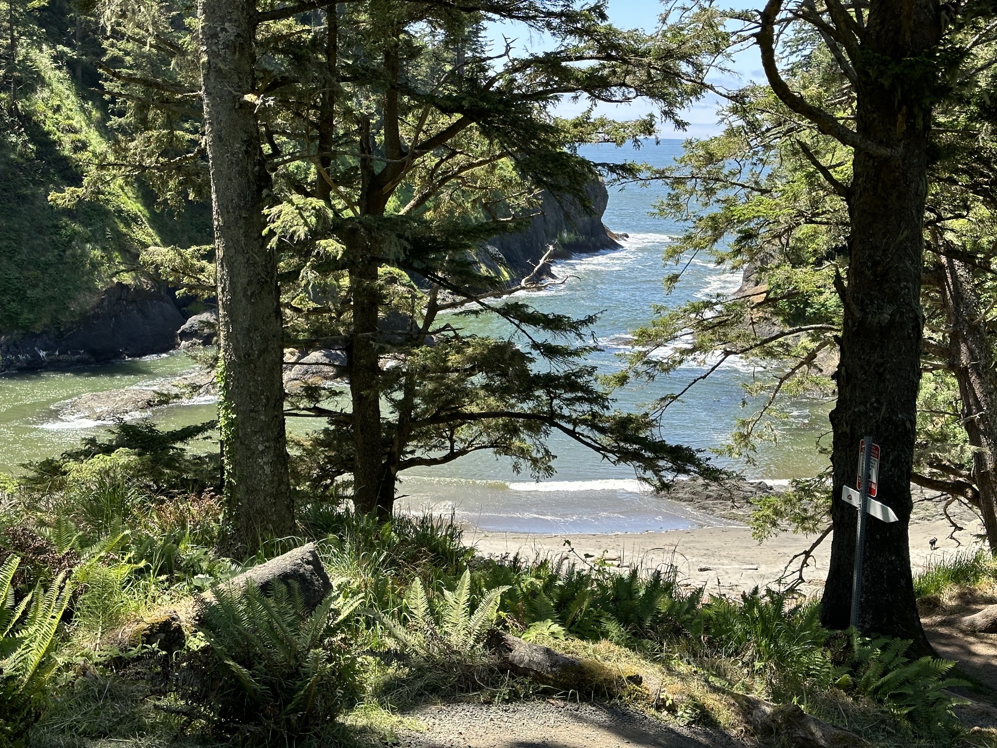 Cape Disappointment