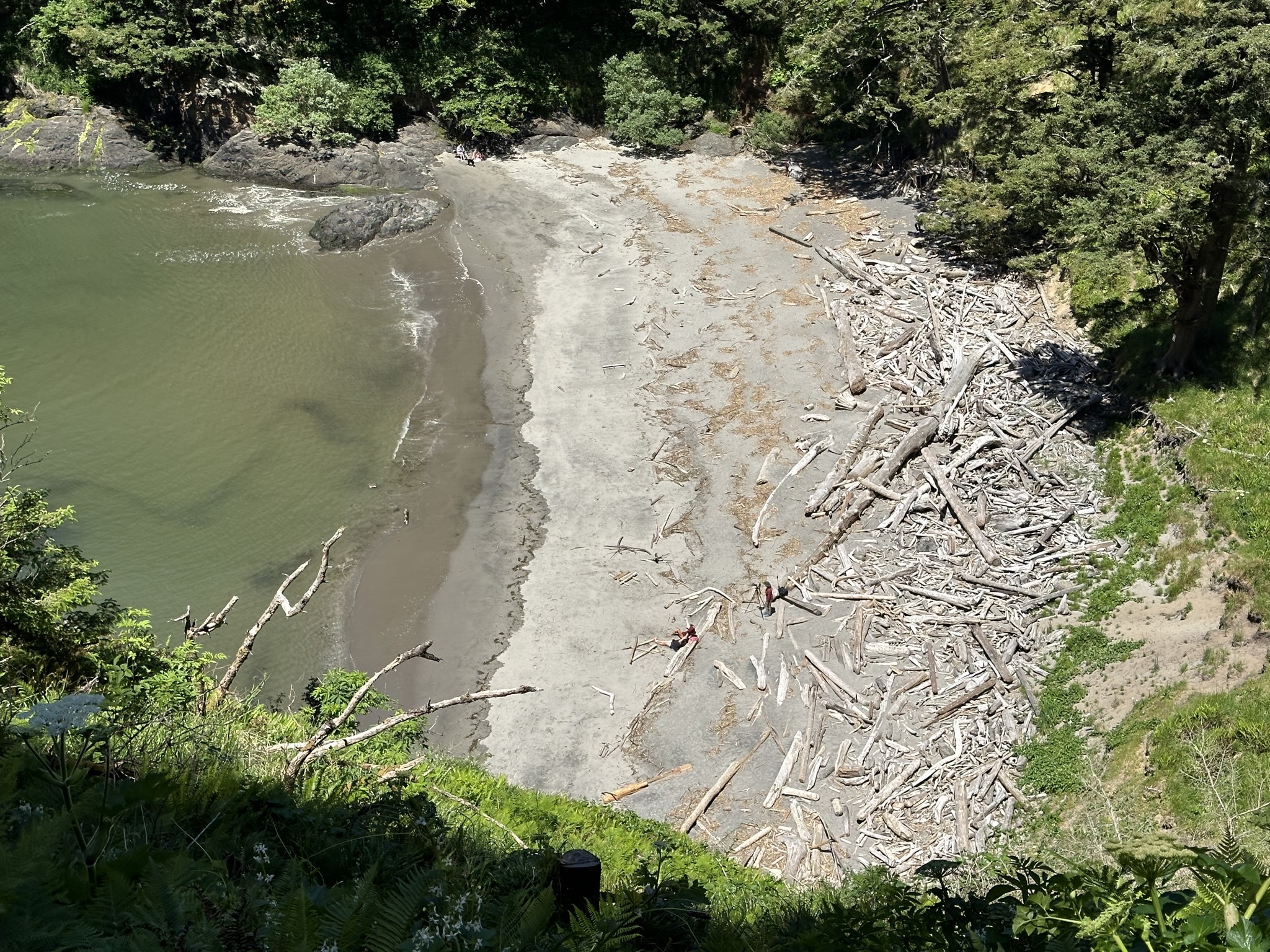 Cape Disappointment