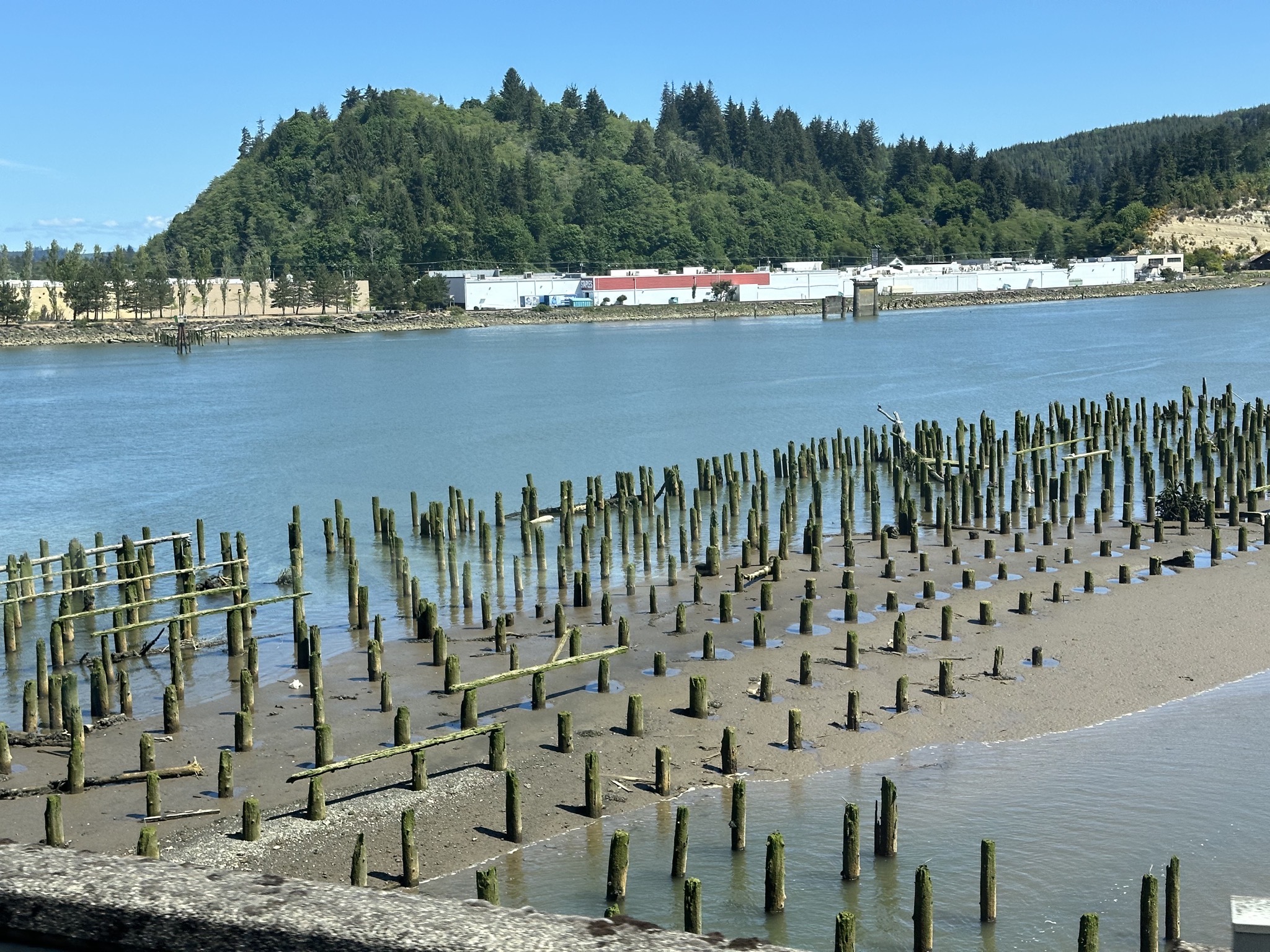 Pilings