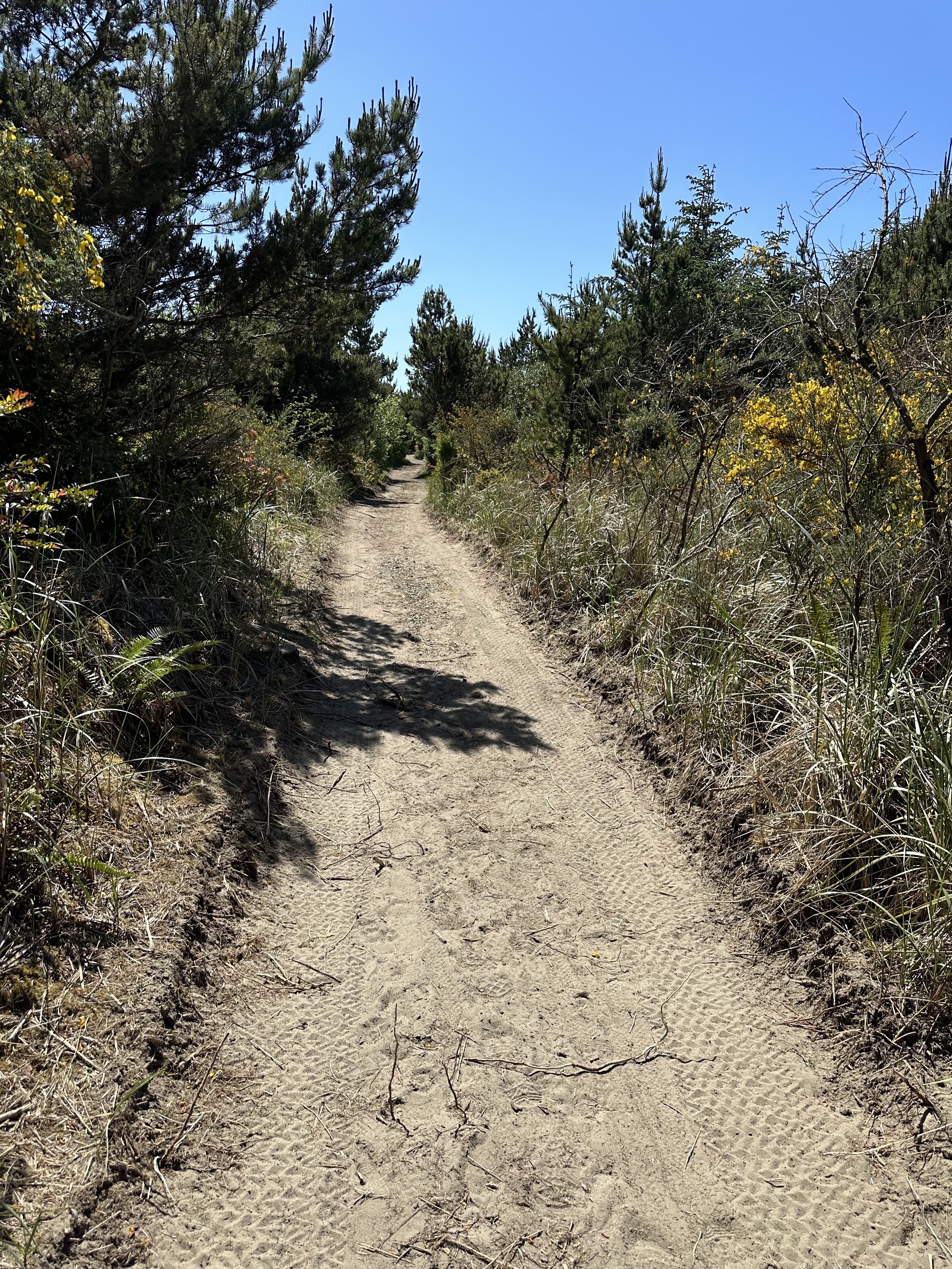 Path to the beach