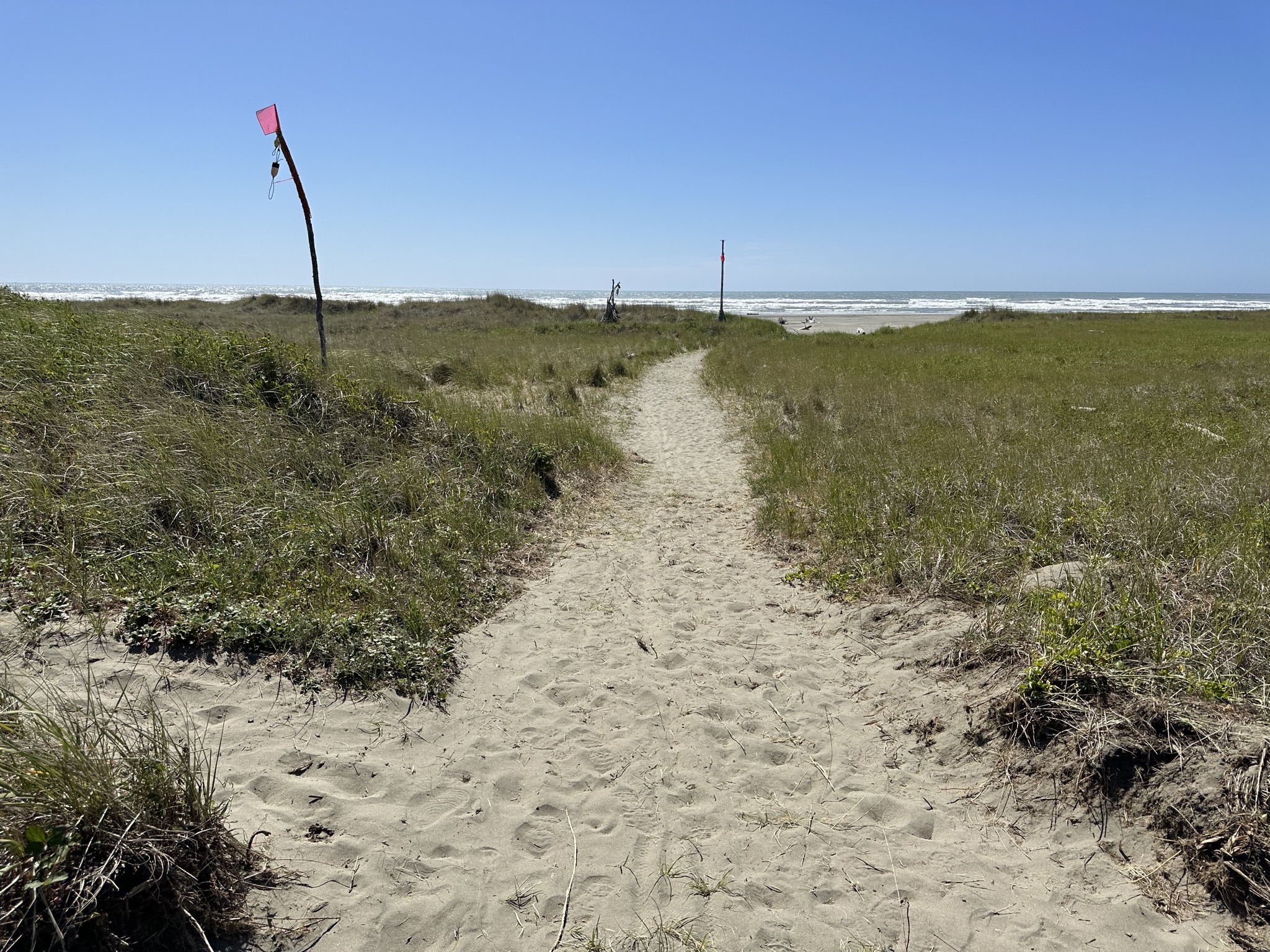 Path to the beach