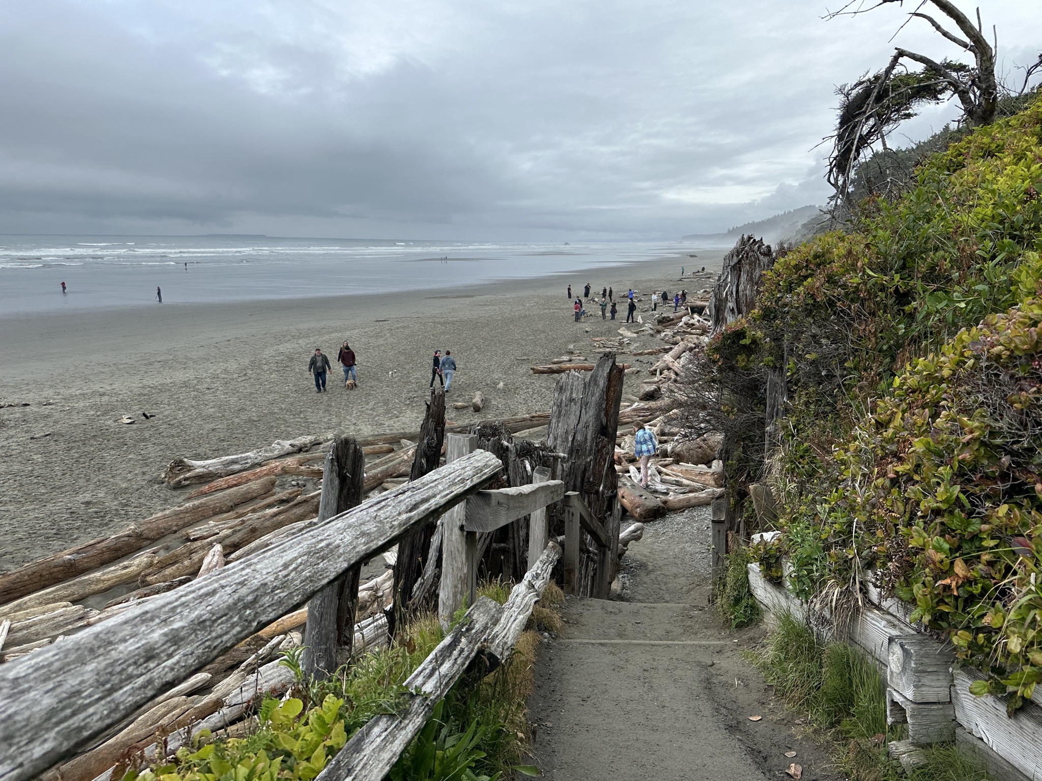 Kalaloch Beach