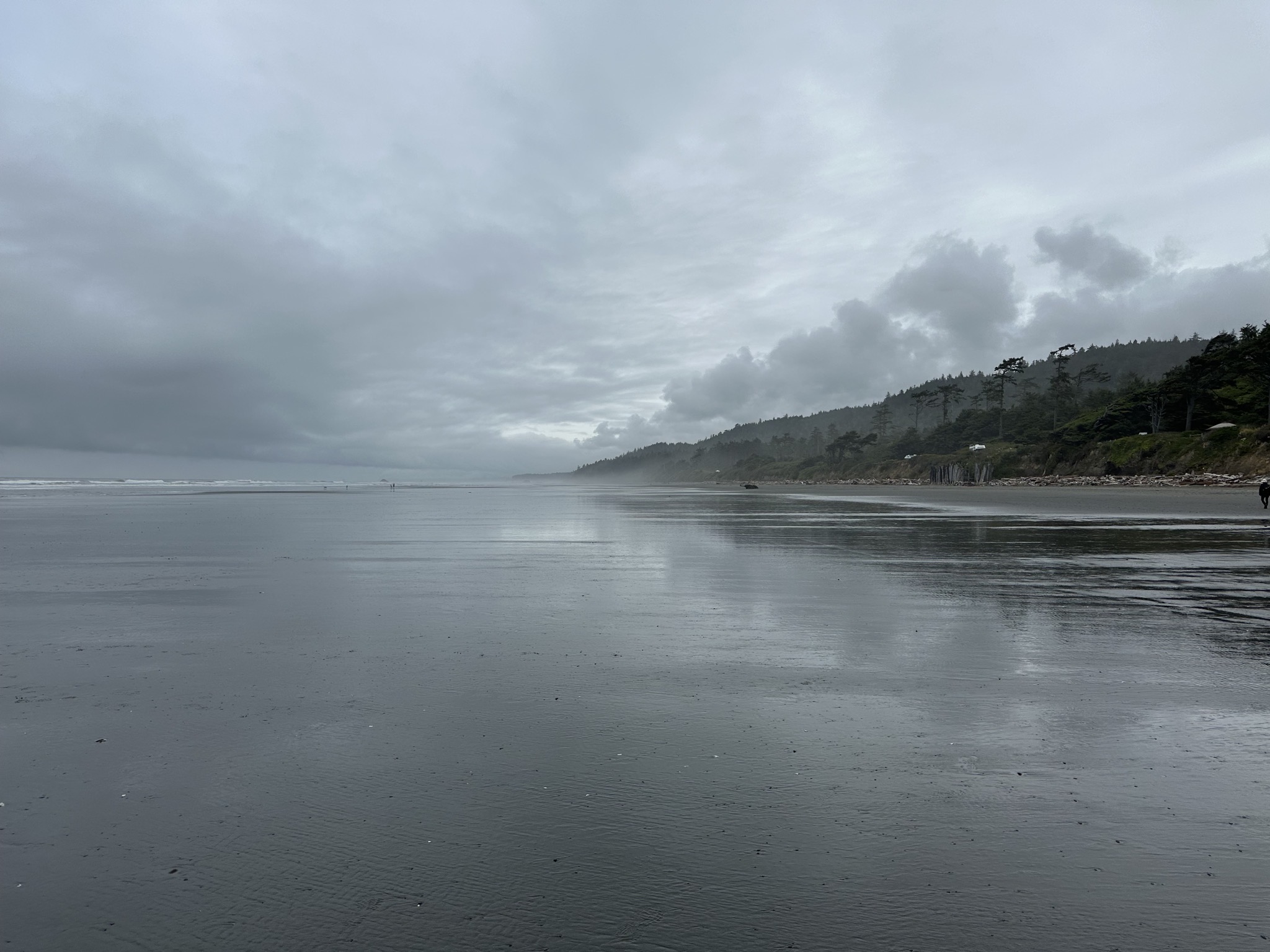 Kalaloch Beach