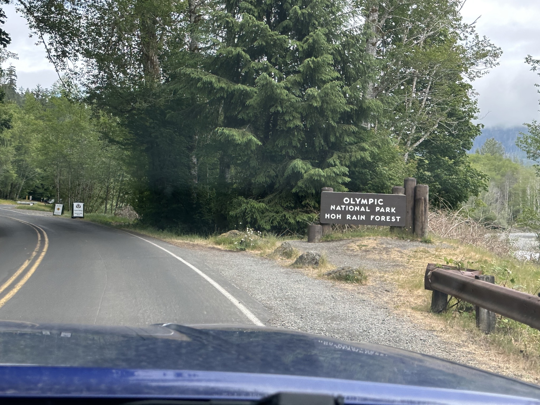 Hoh Rain Forest