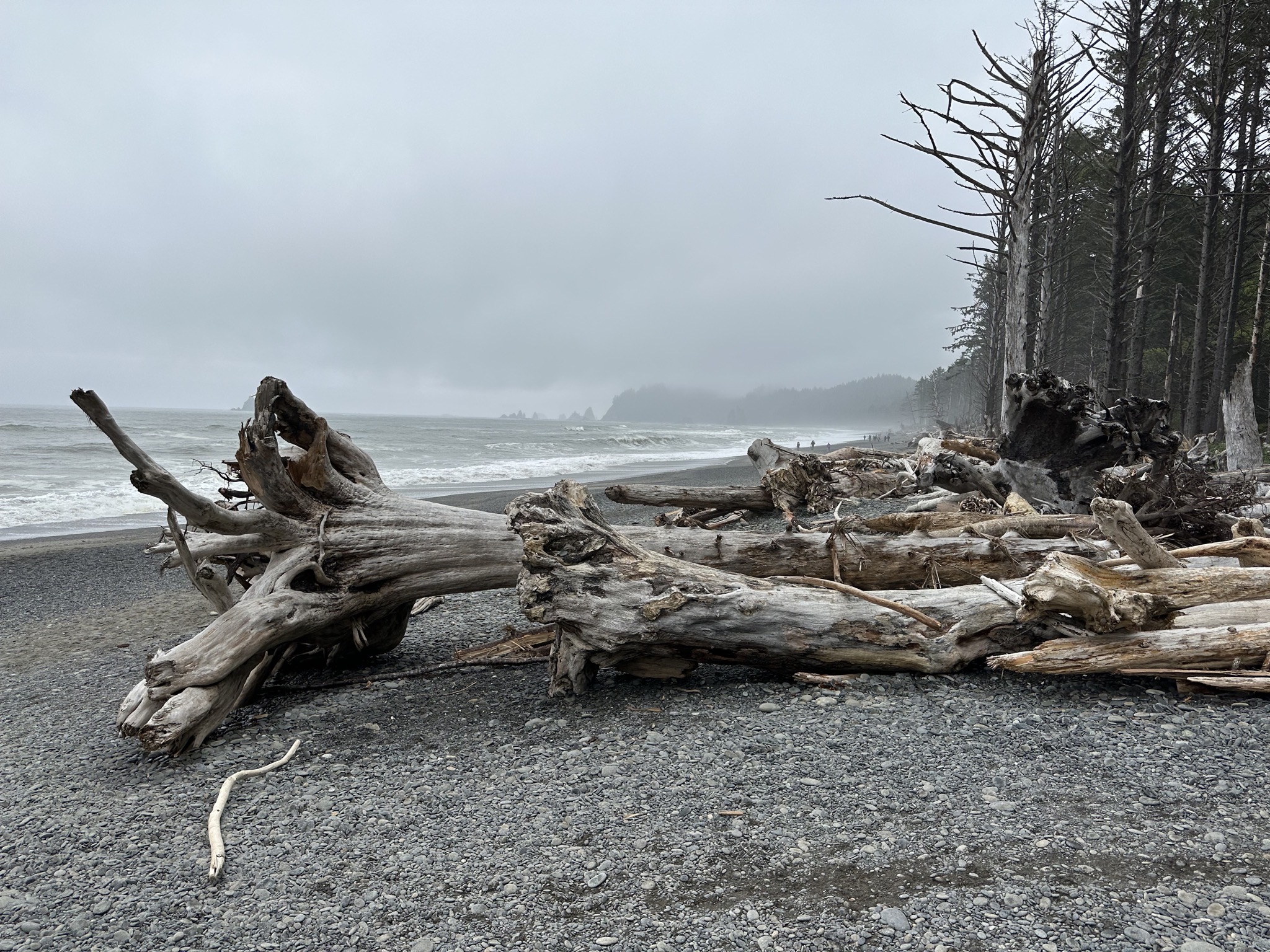 Rialto Beach