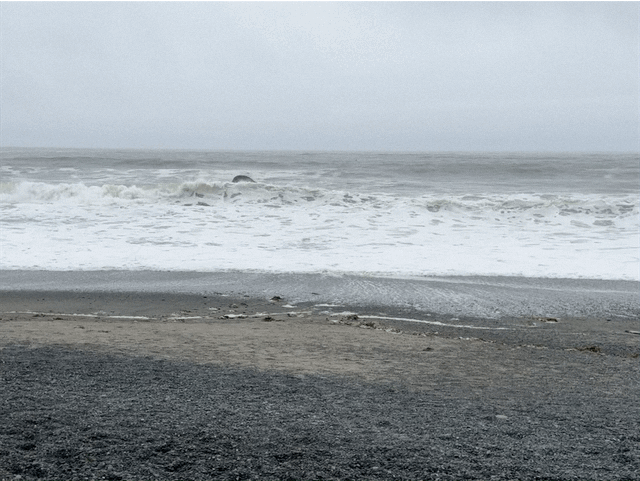 Rialto Beach