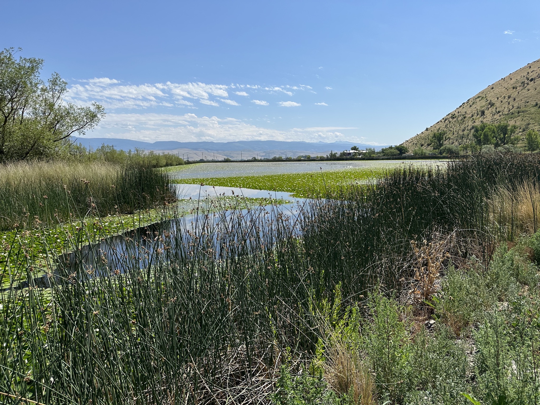 Neighboring hot lake