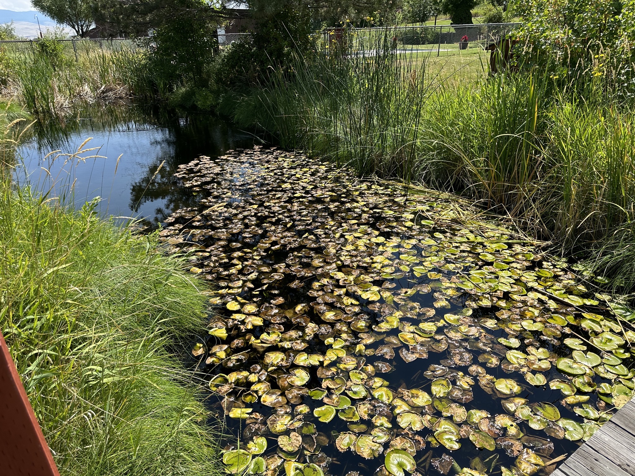 Canal