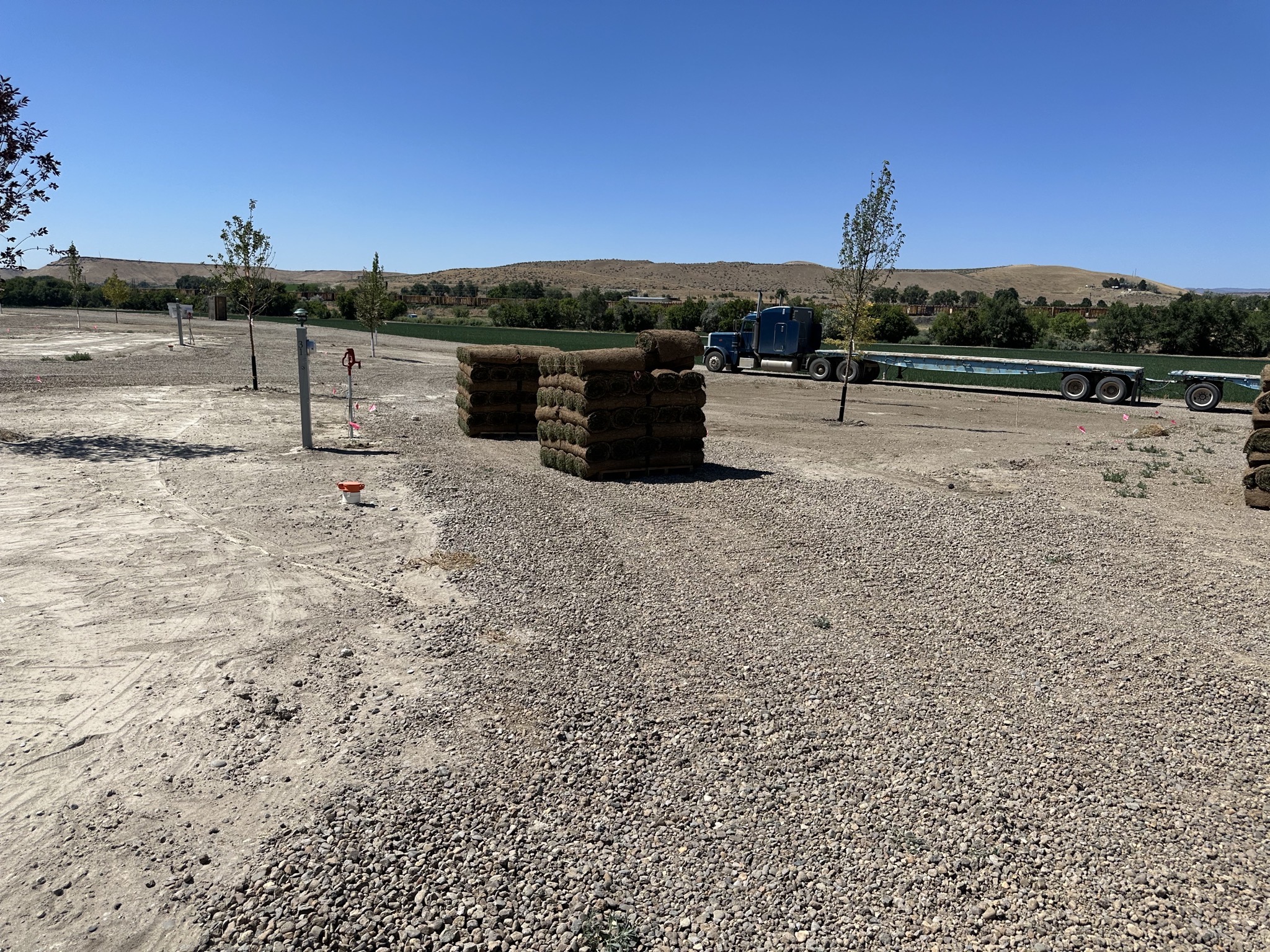 Site 31