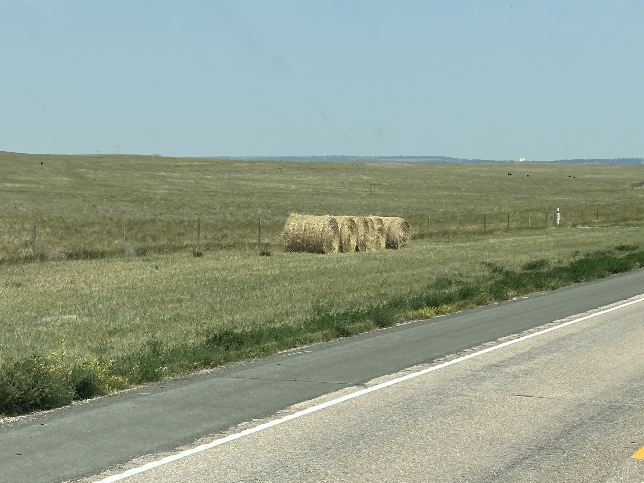 Hay