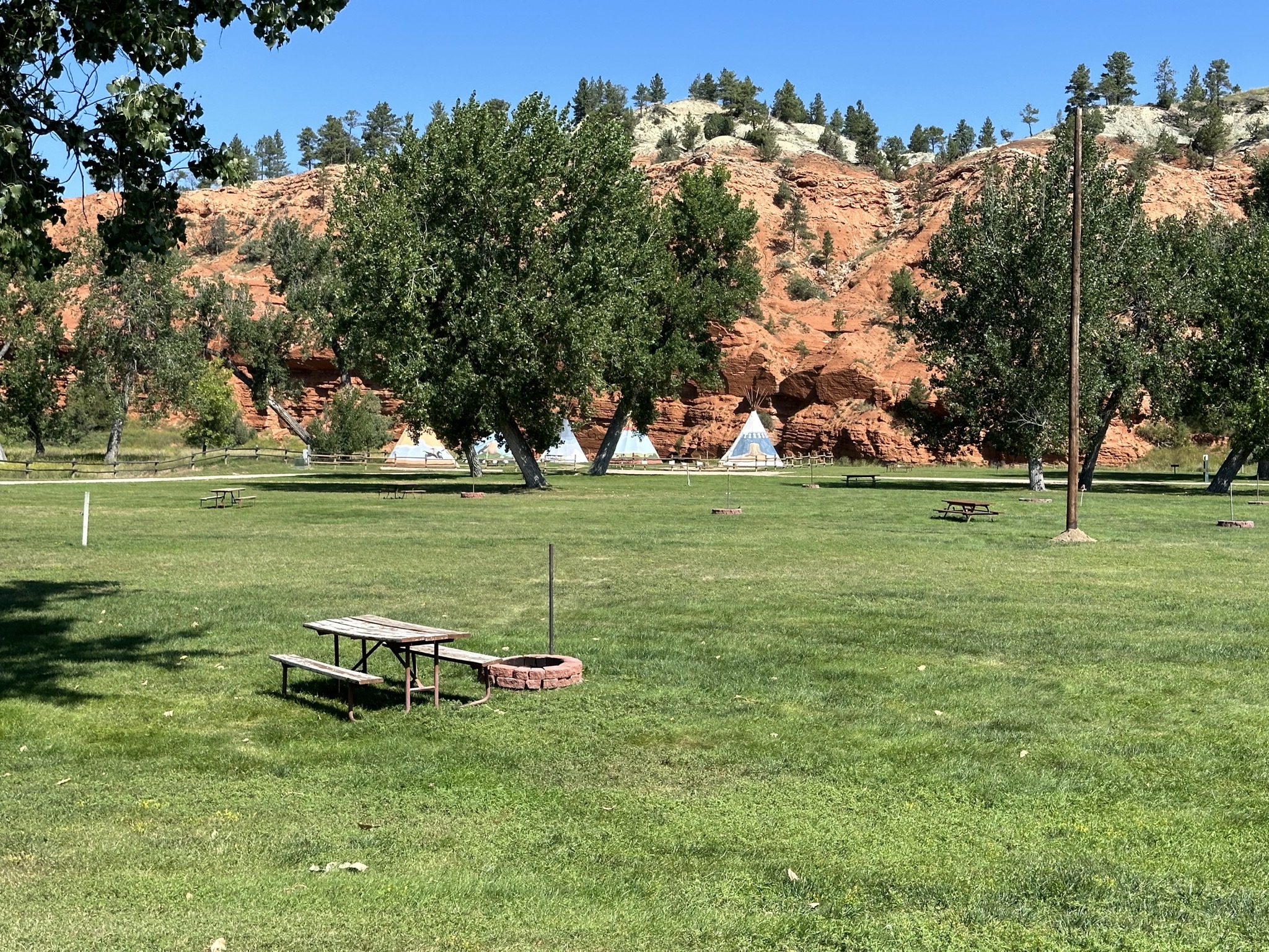 Lots of tent sites