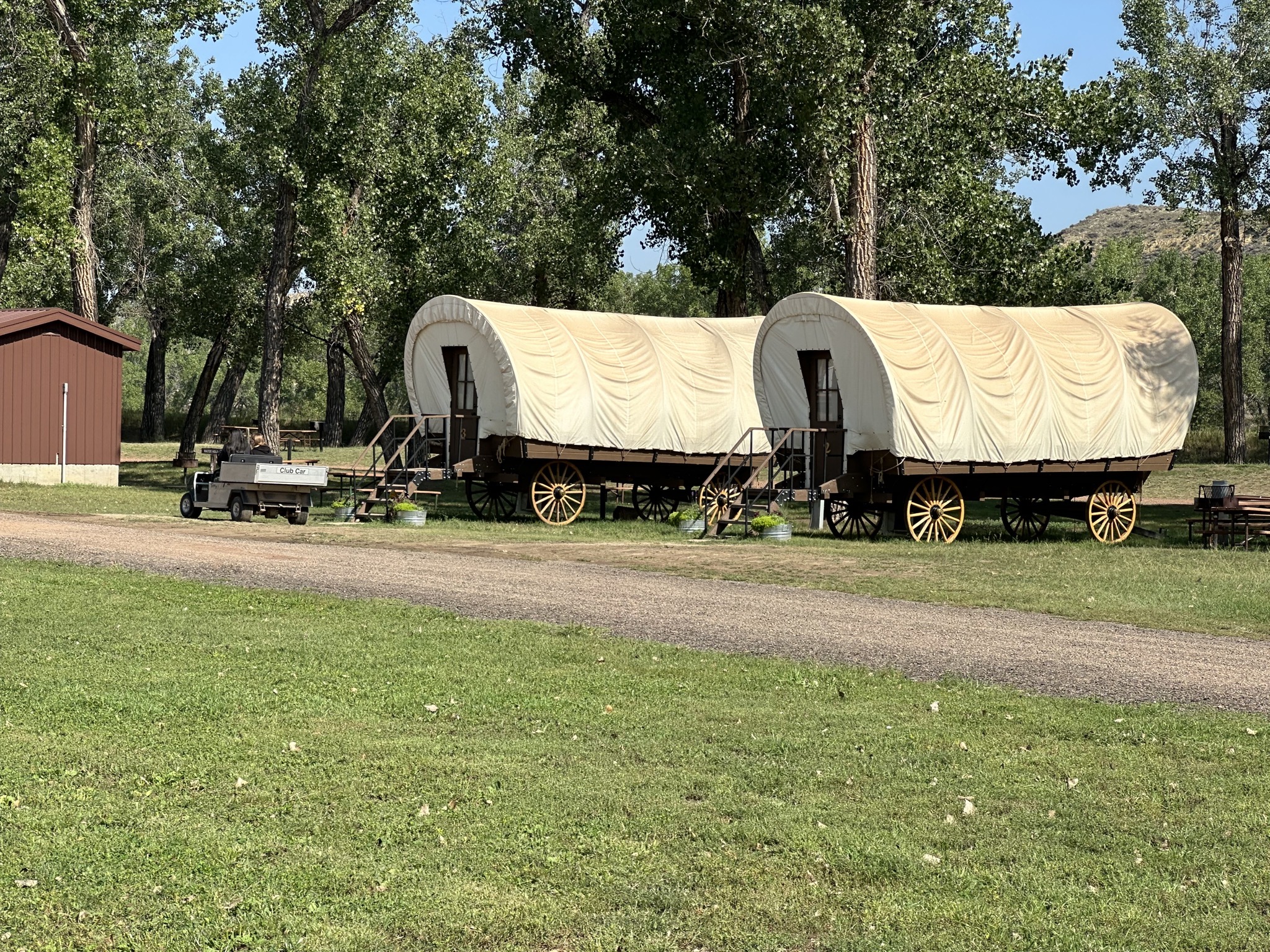 More covered wagons