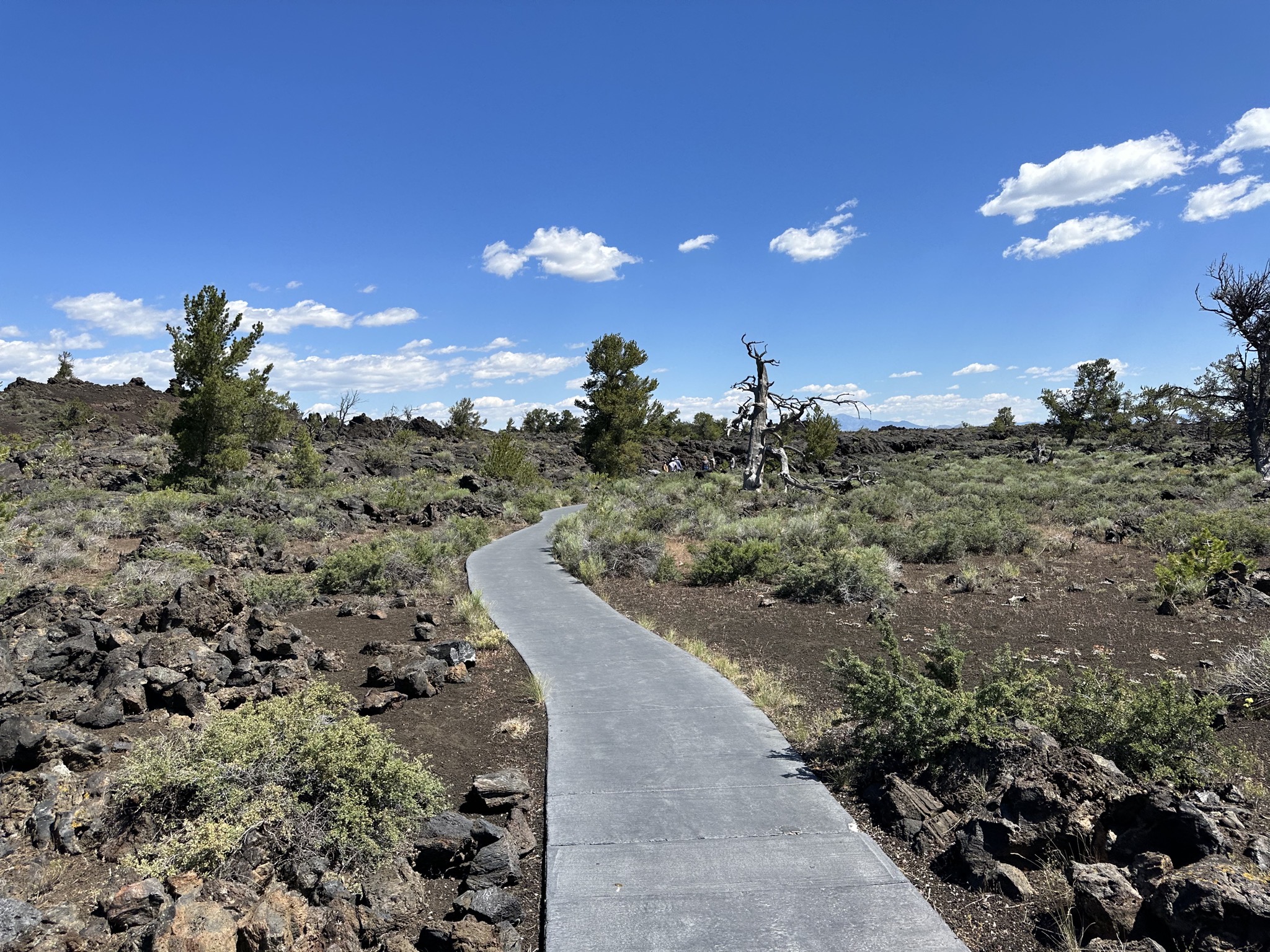Path