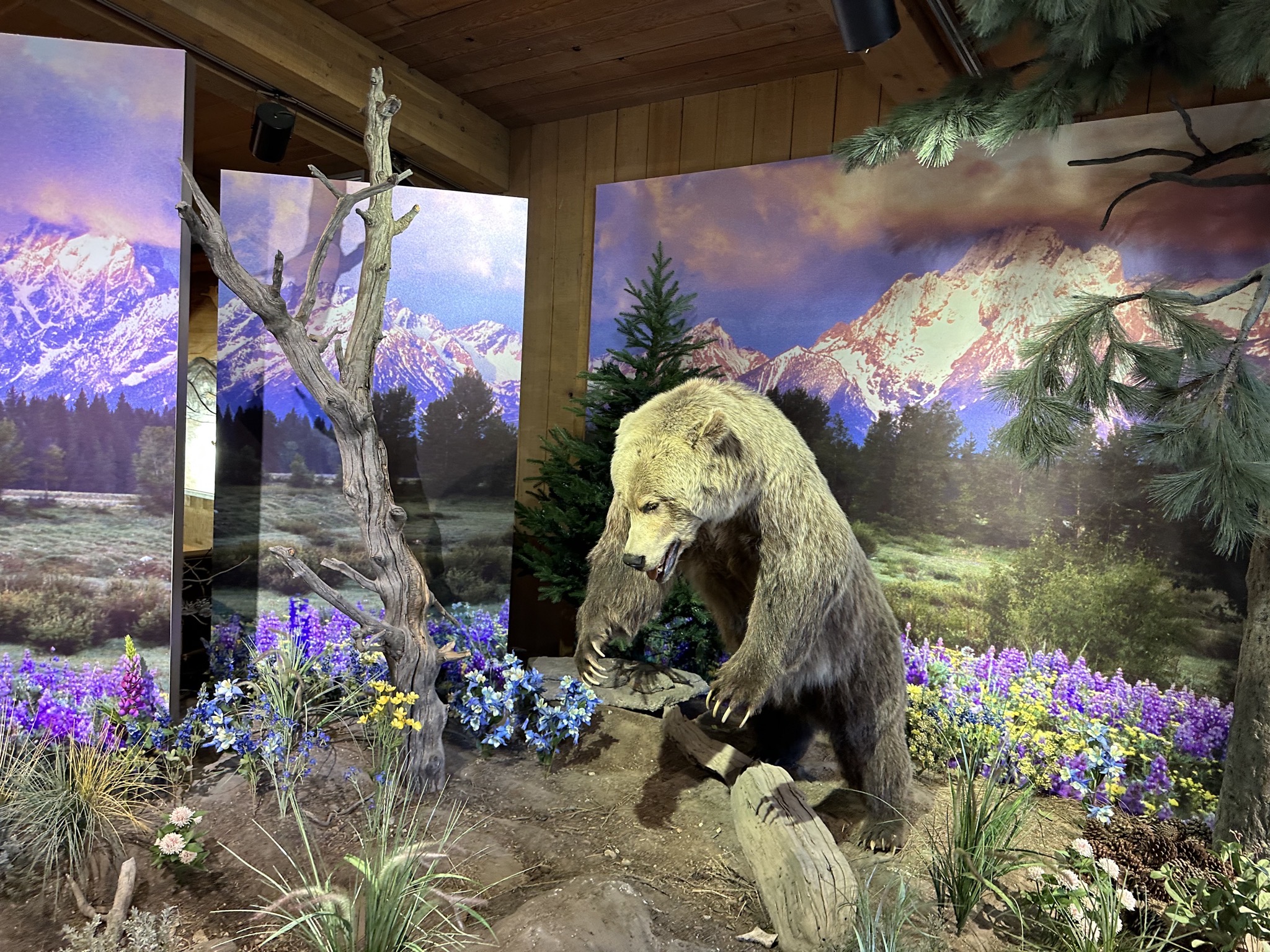 National Elk Refuge