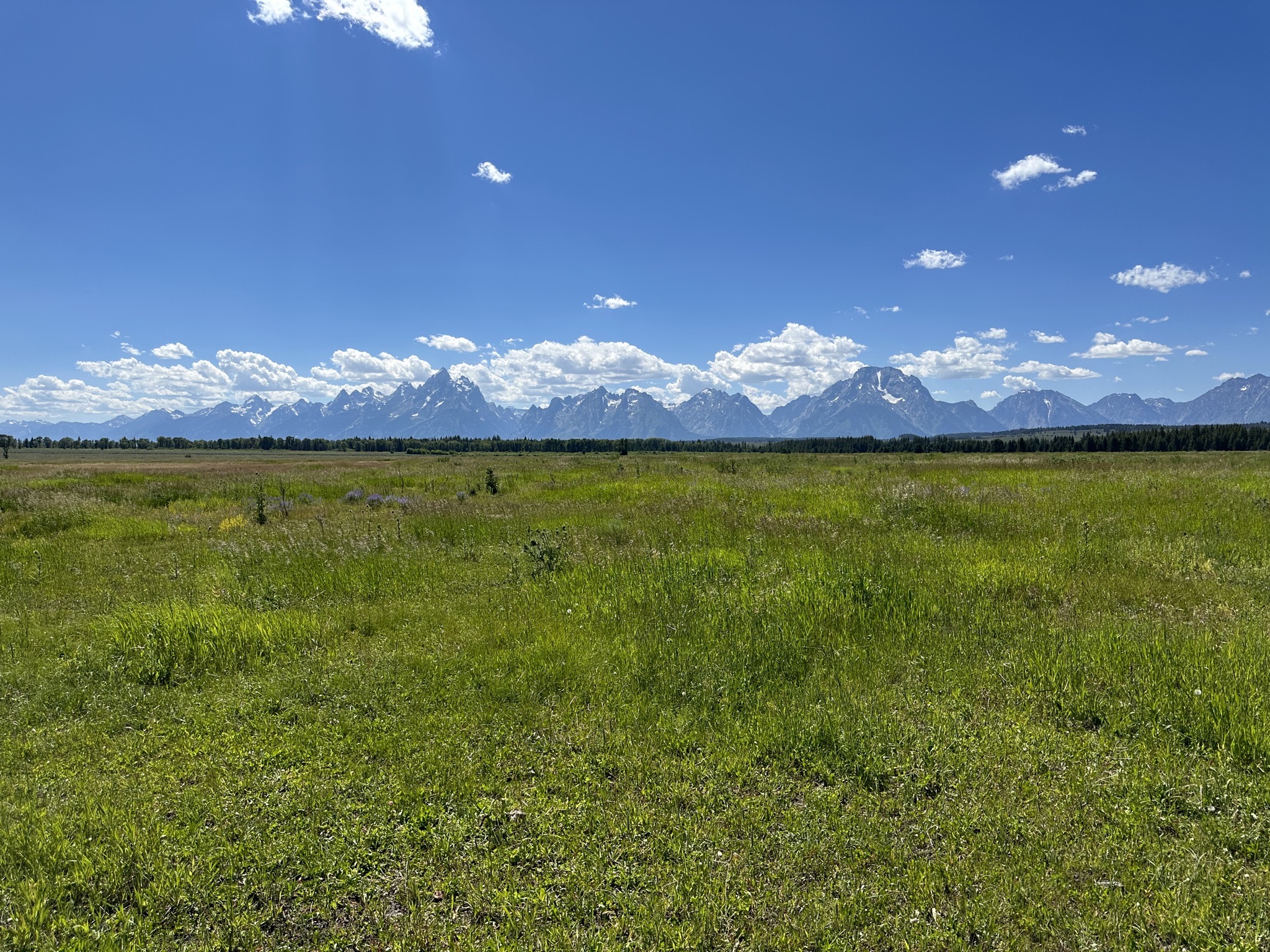 Grand Teton National Park