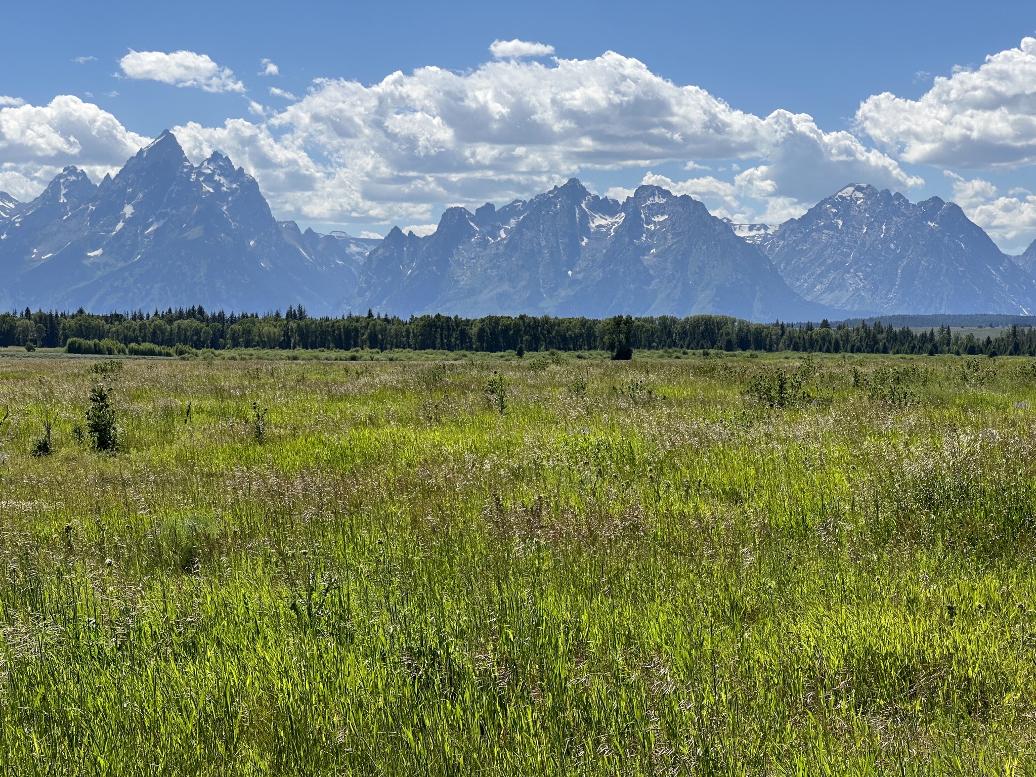 Grand Teton National Park