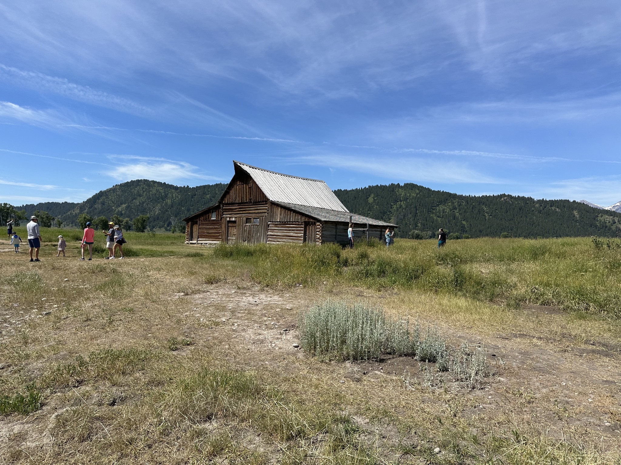 Mormon Row