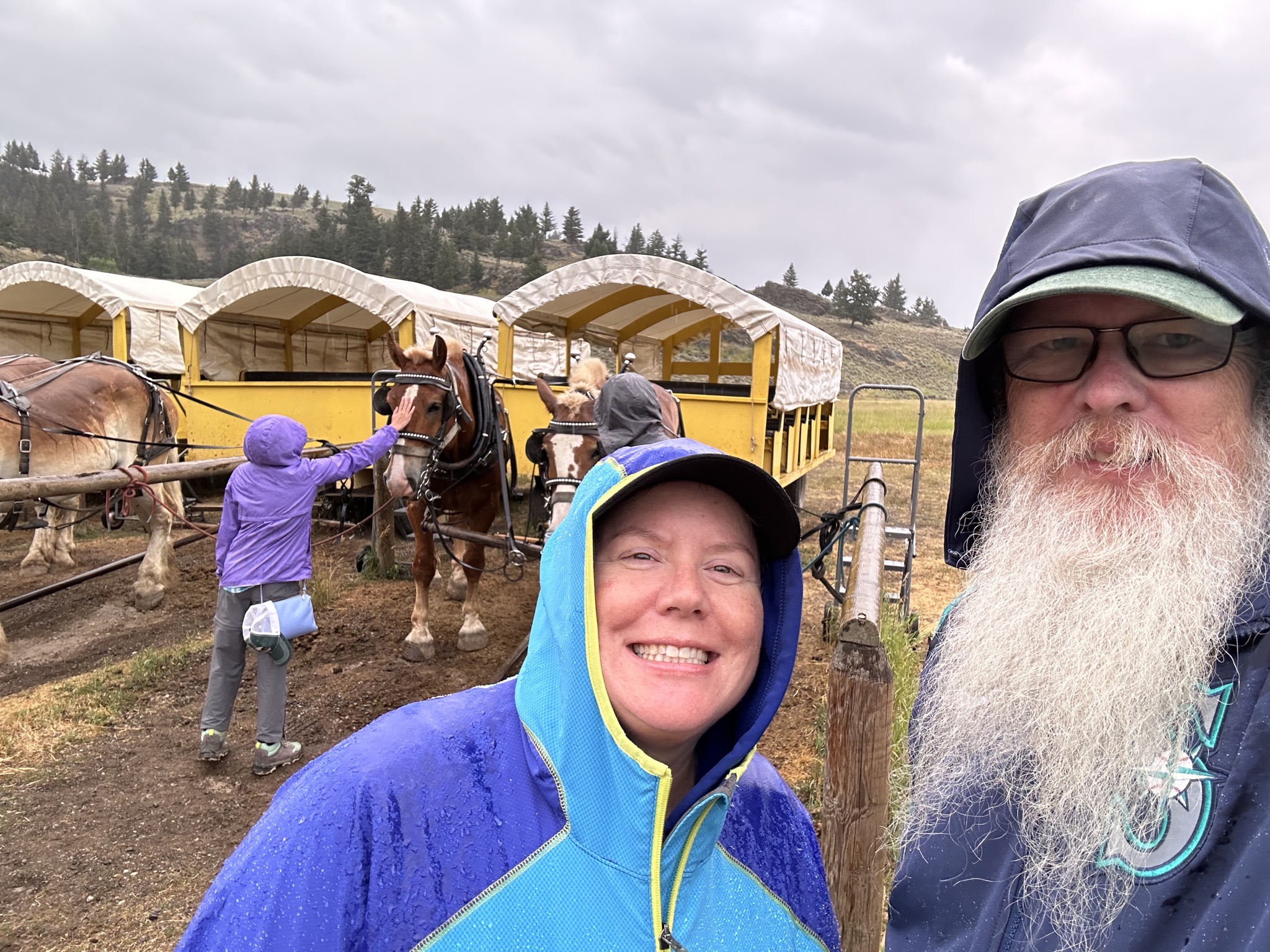 Horses and wagons