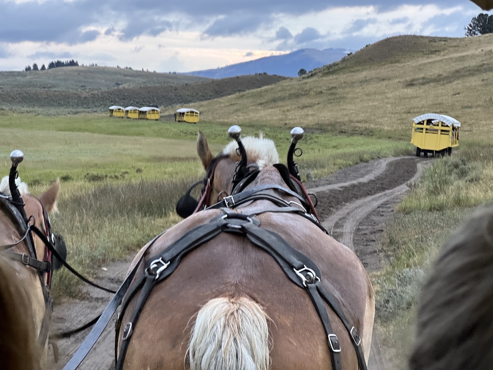 Wagon ride