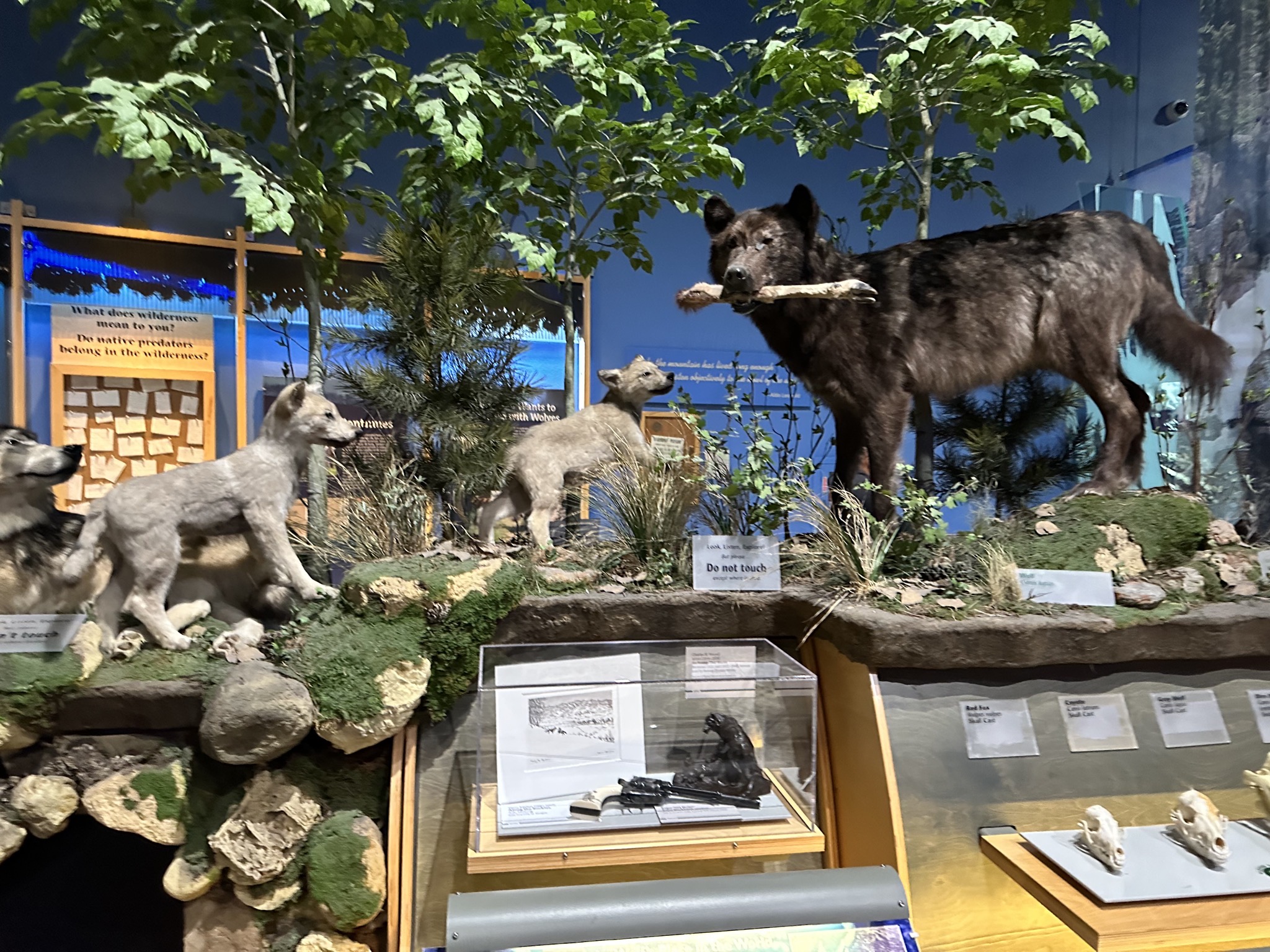 Natural history museum