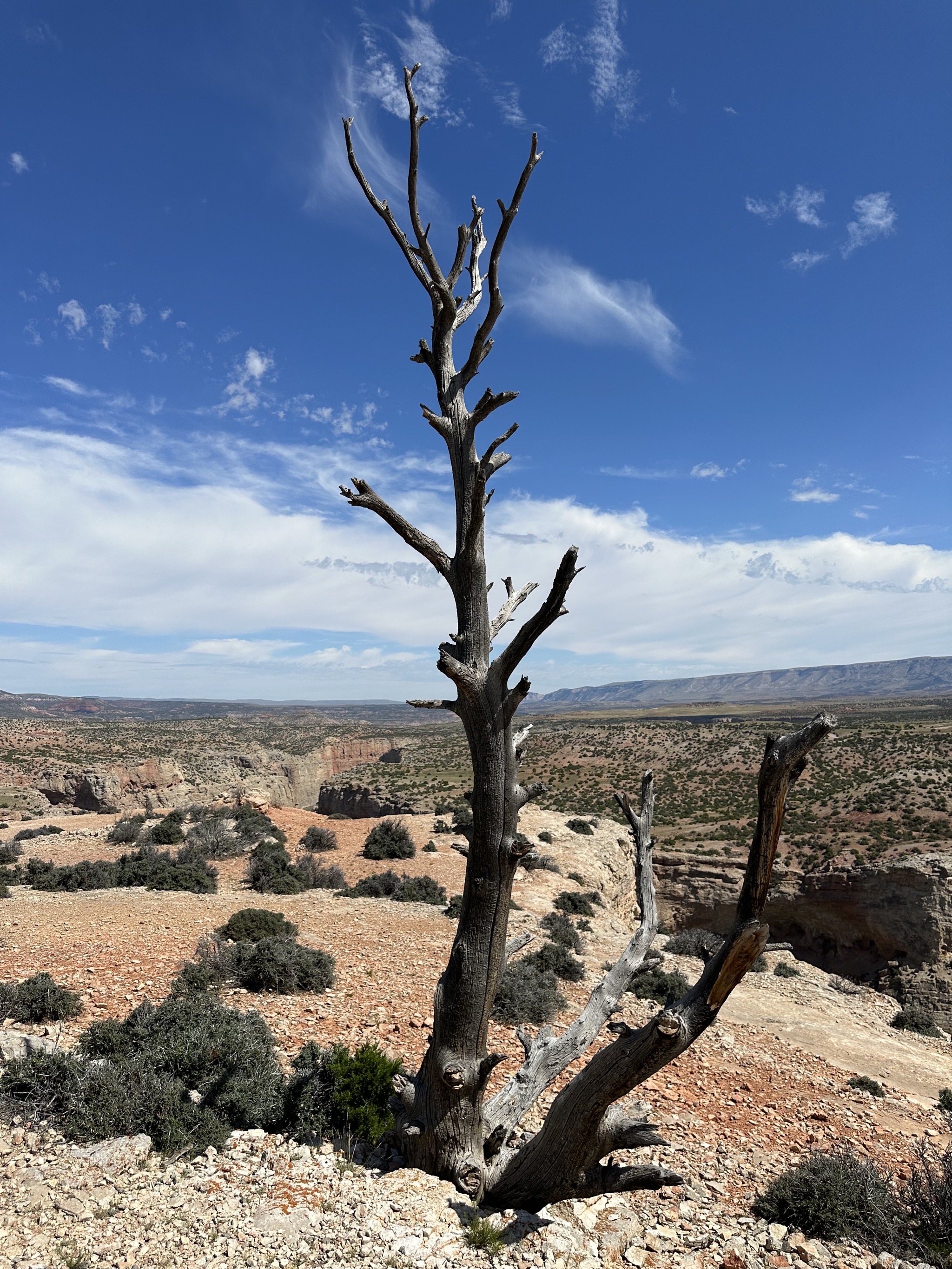 Bighorn Canyon