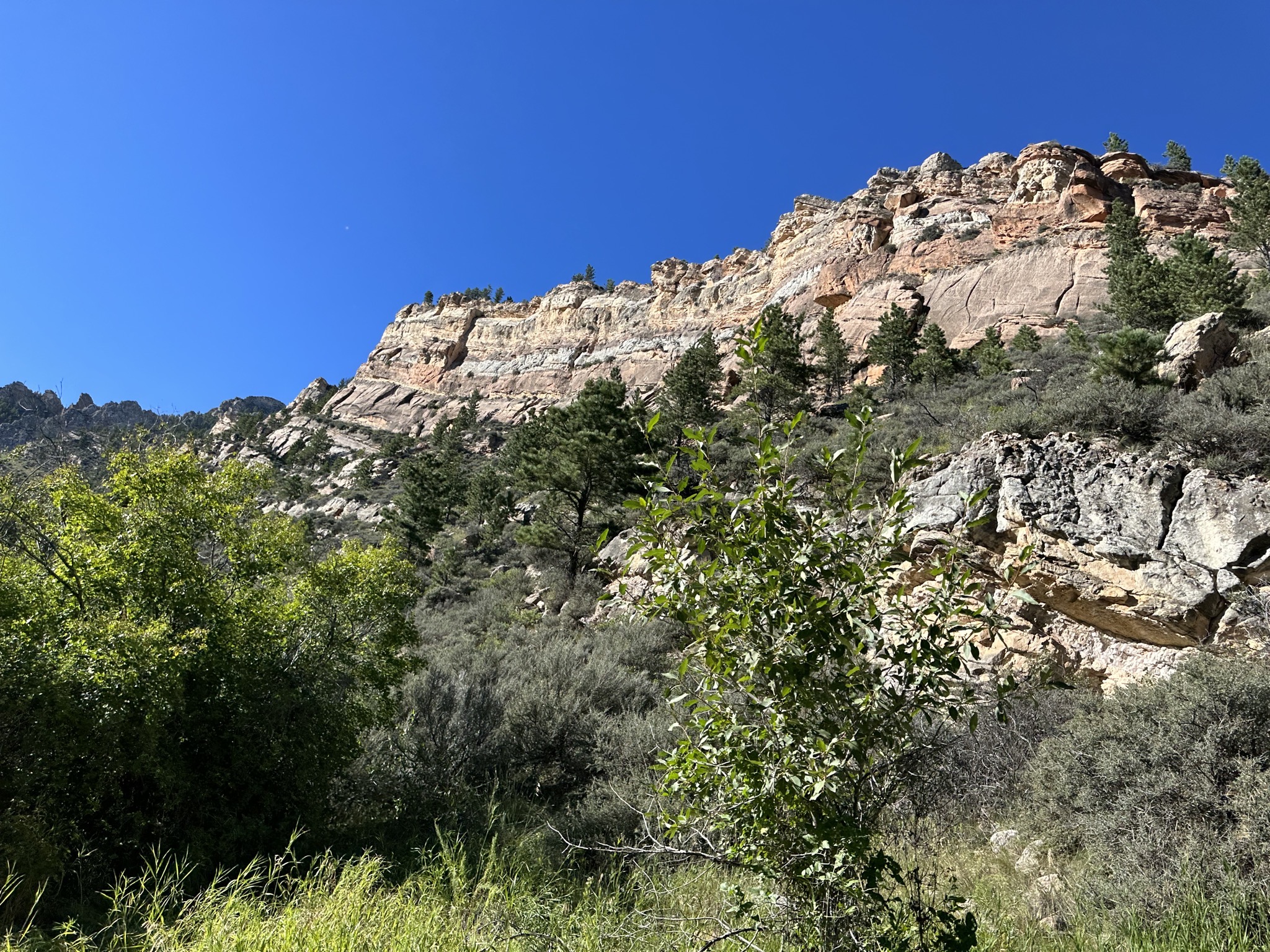 Crazy Woman Canyon