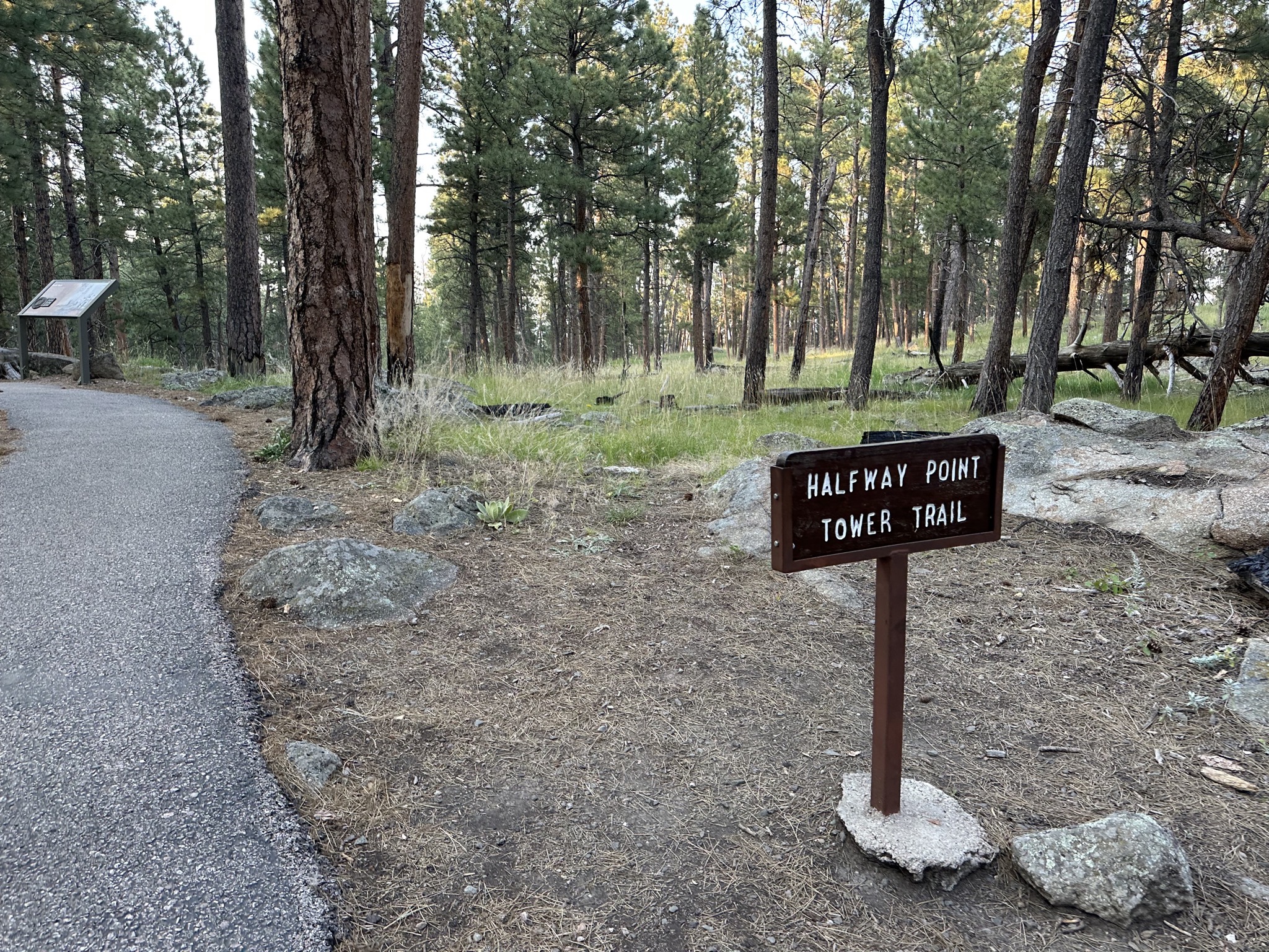 Devils Tower