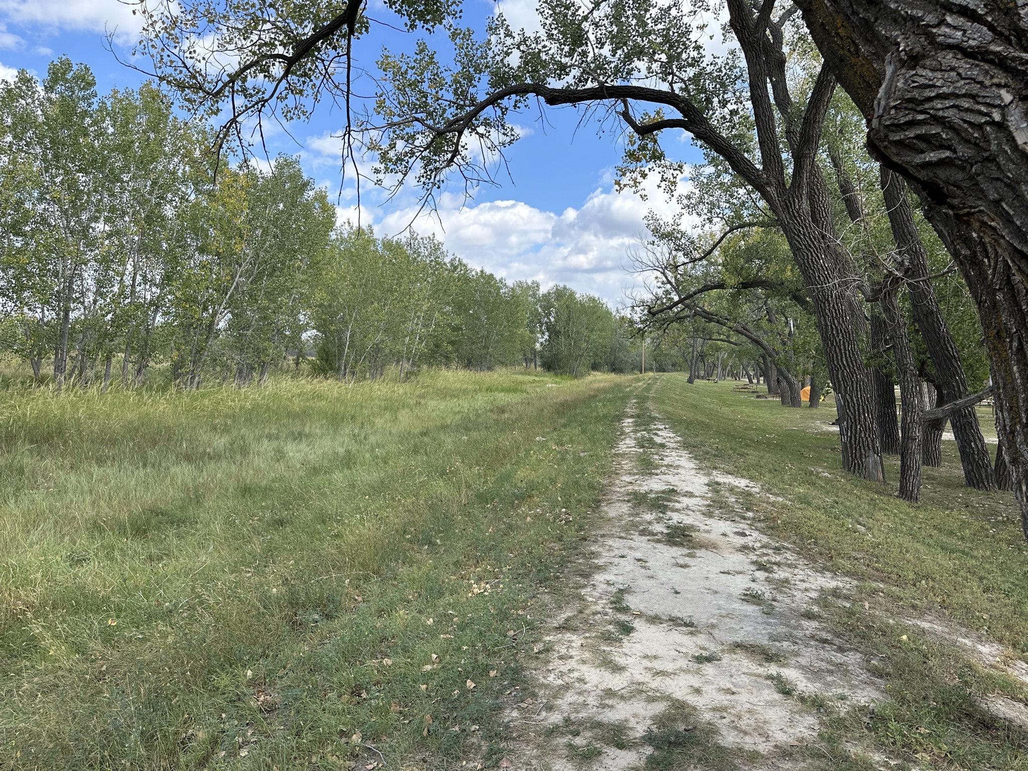 Path
